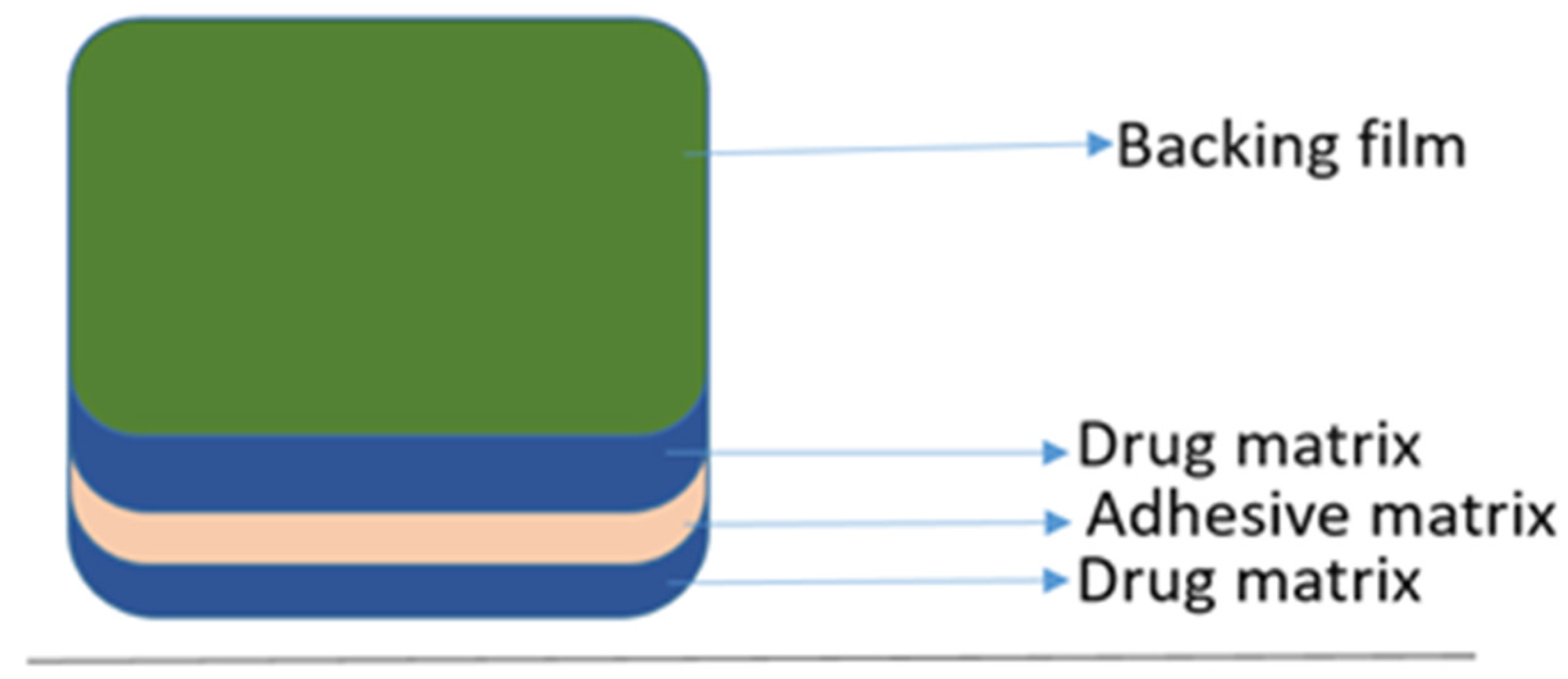 Brainsci 13 00213 g002
