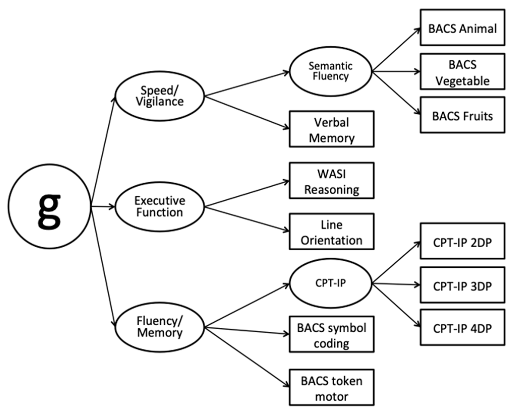 Brainsci 13 00215 g0a1