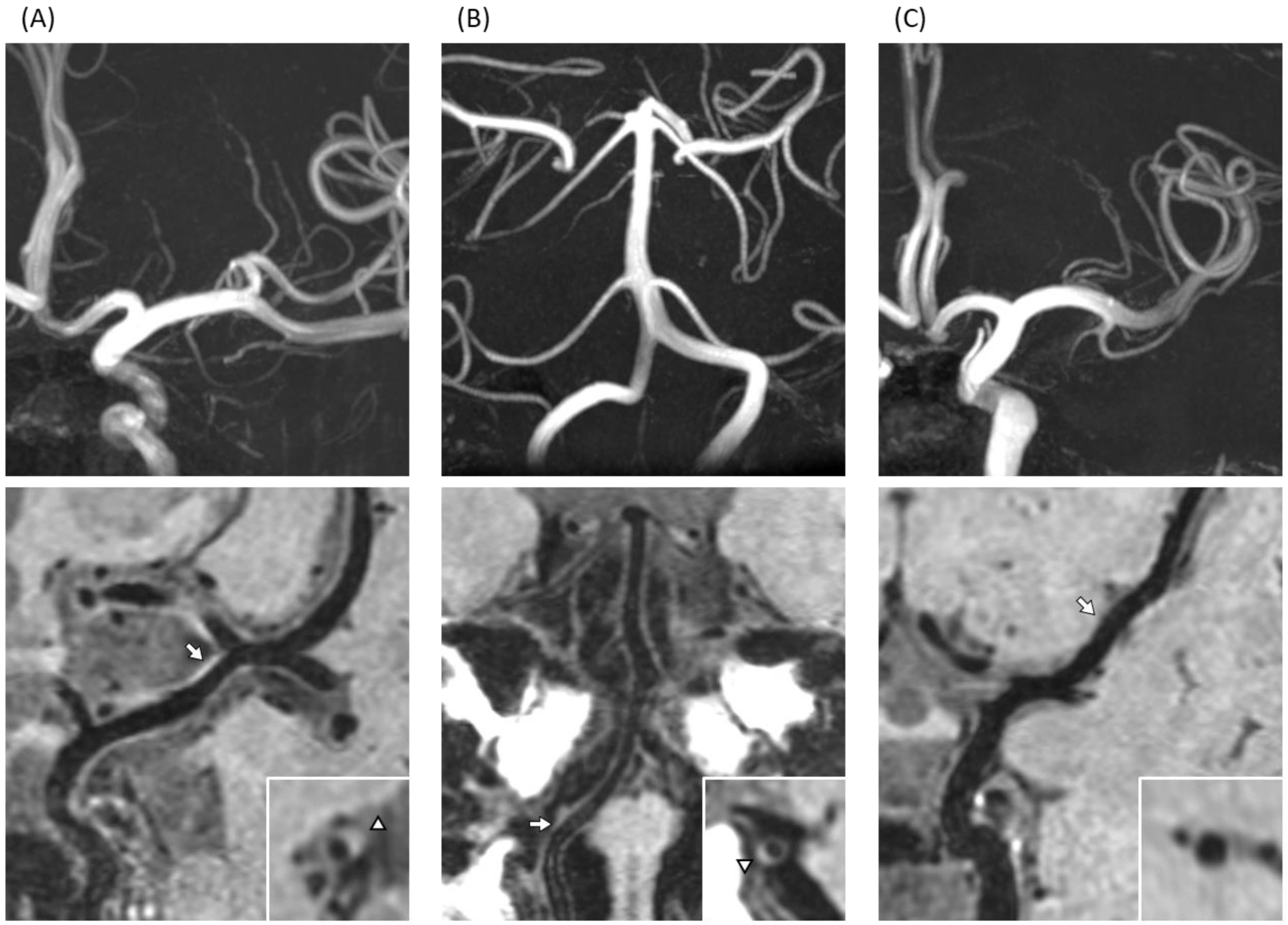 Brainsci 13 00217 g001