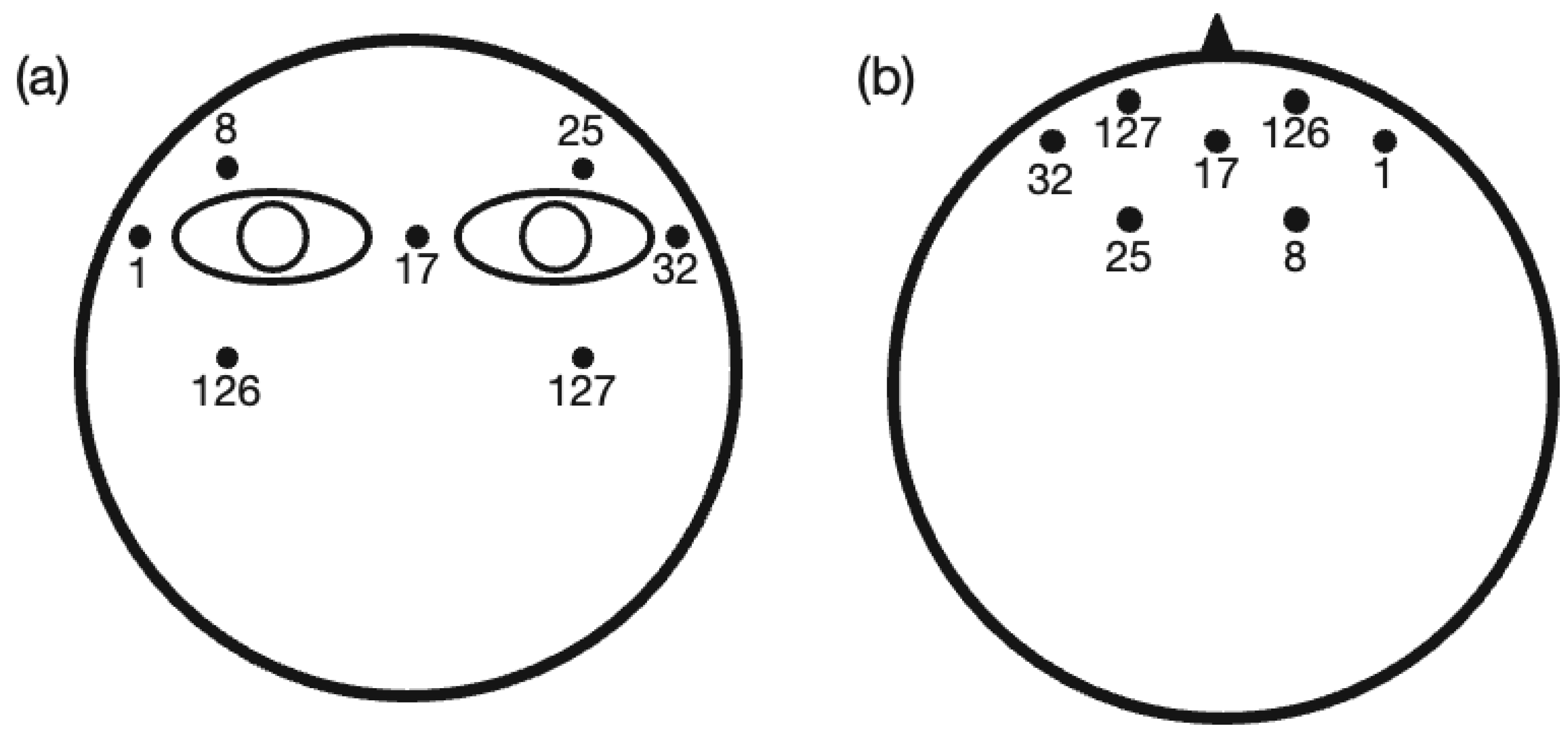 Brainsci 13 00228 g001