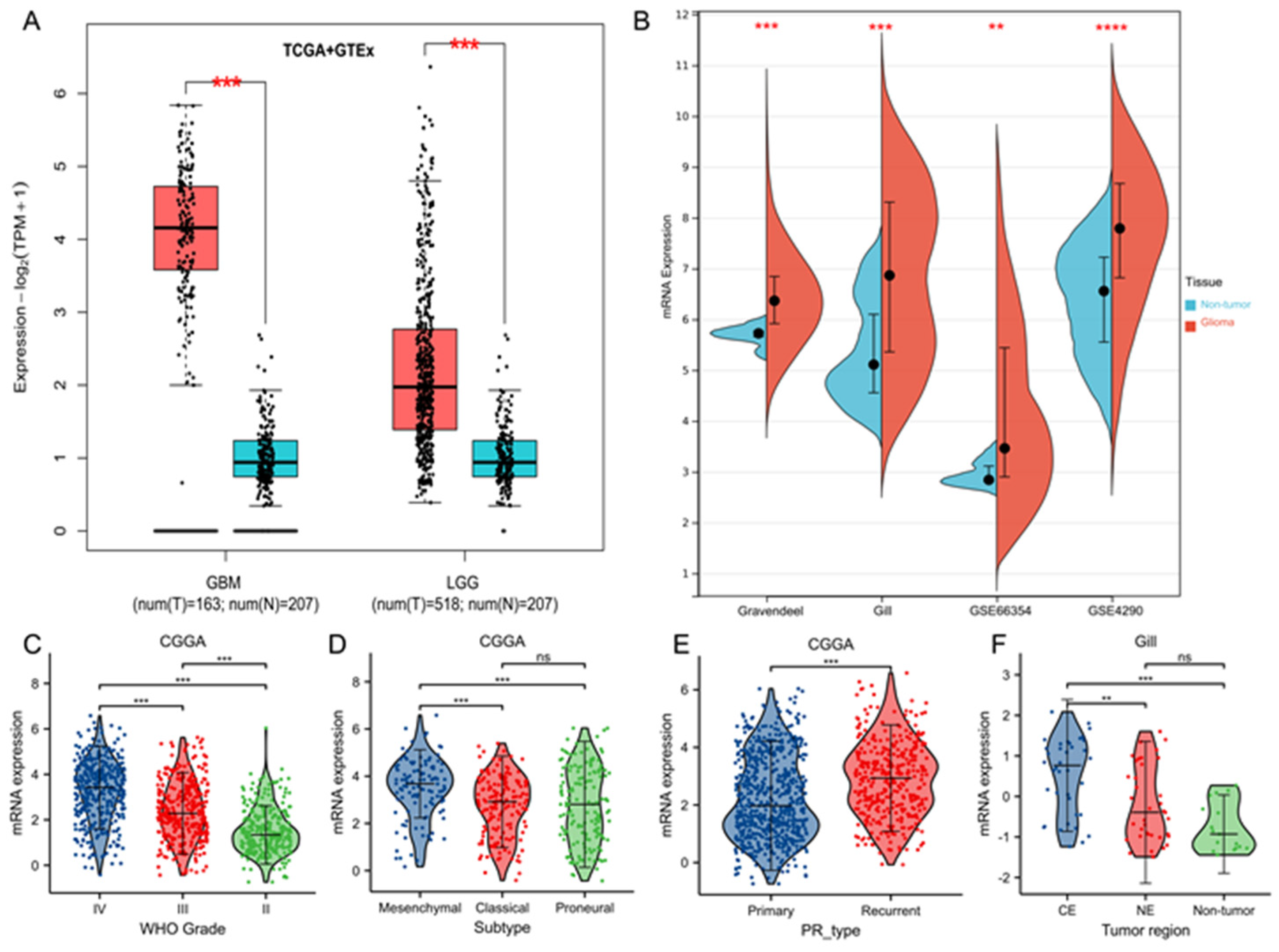 Brainsci 13 00230 g001