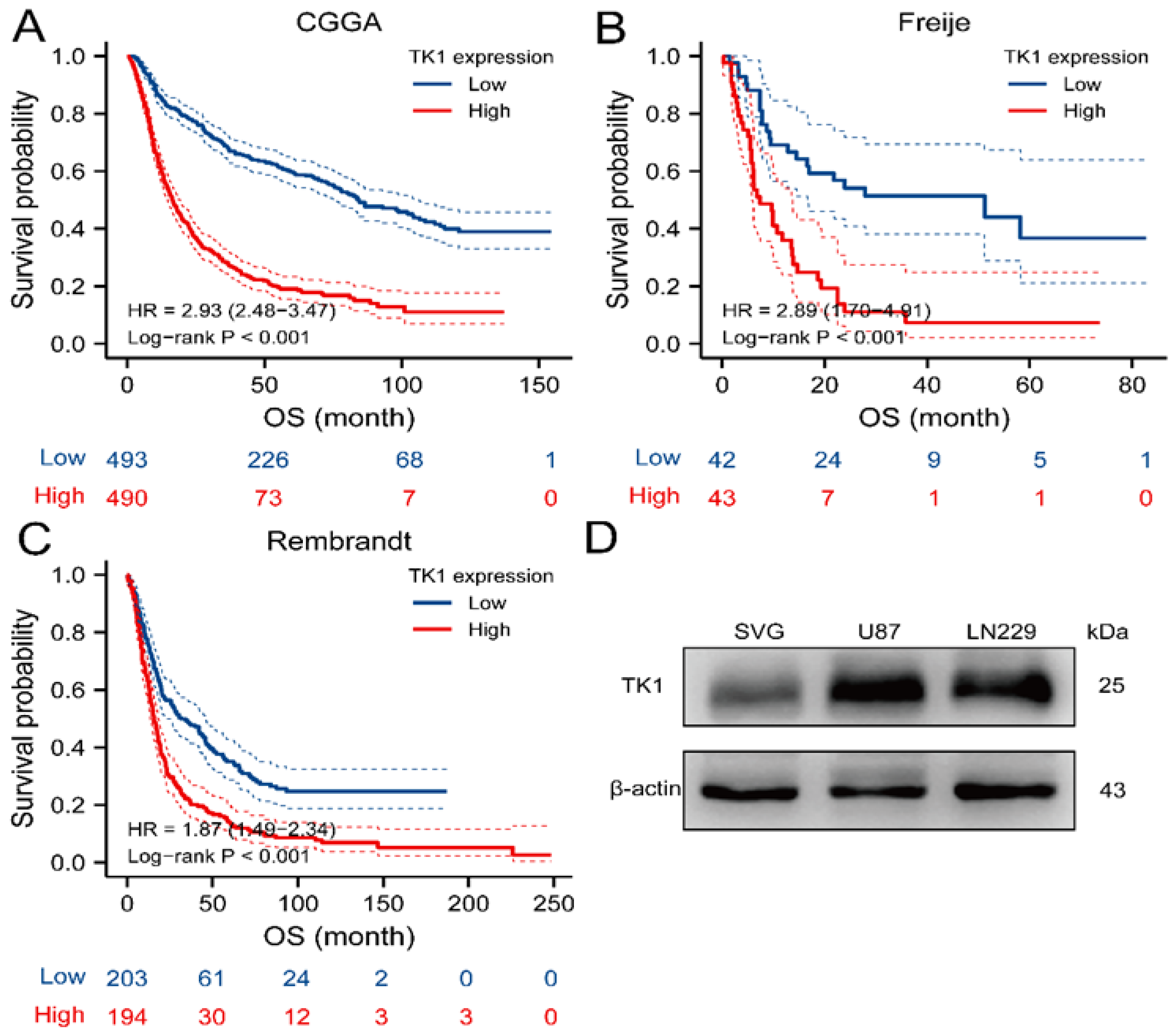 Brainsci 13 00230 g002