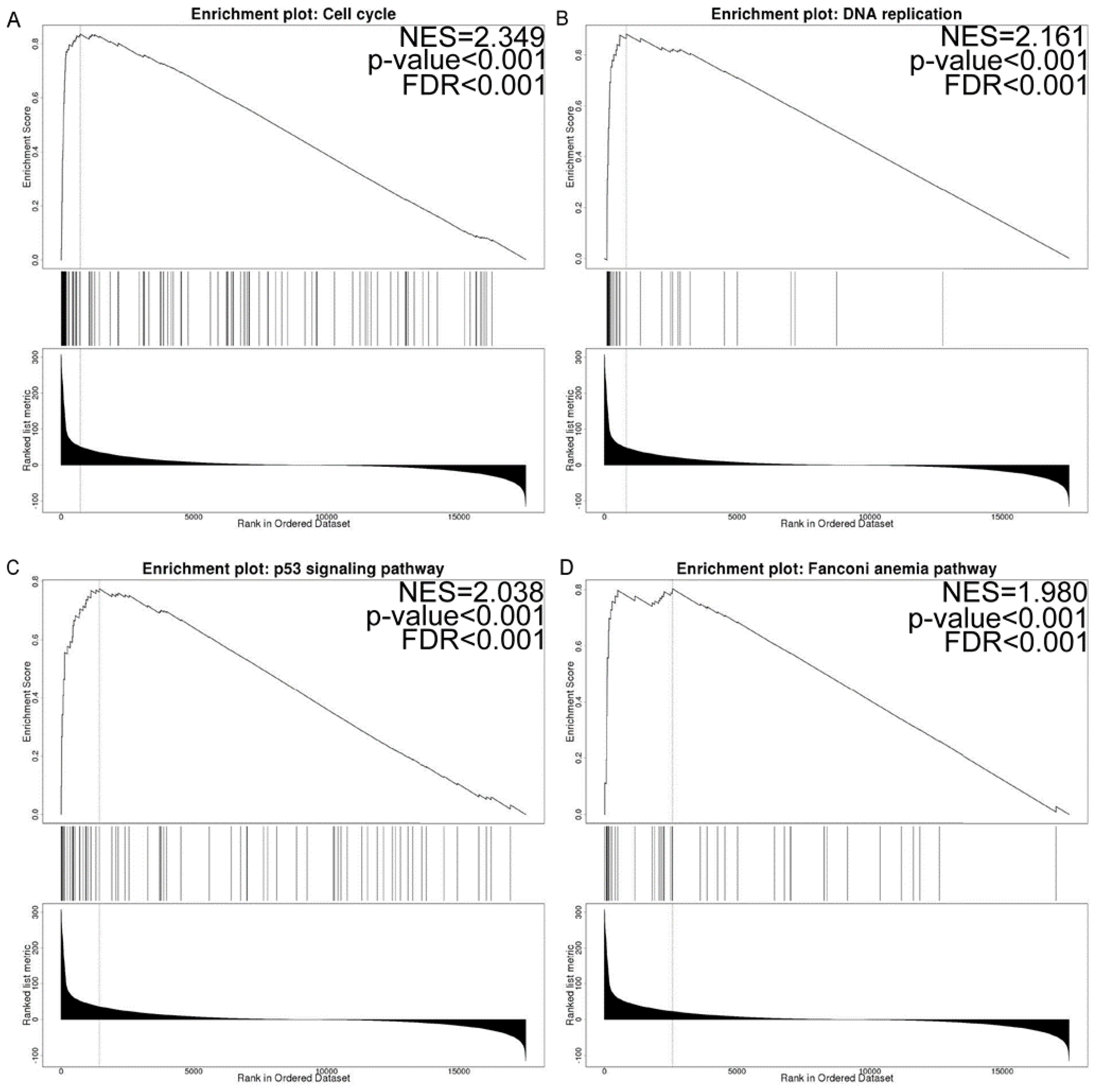 Brainsci 13 00230 g007