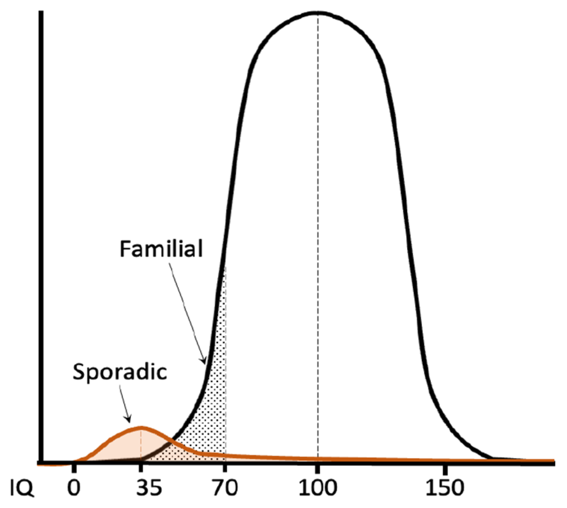 Brainsci 13 00231 g001