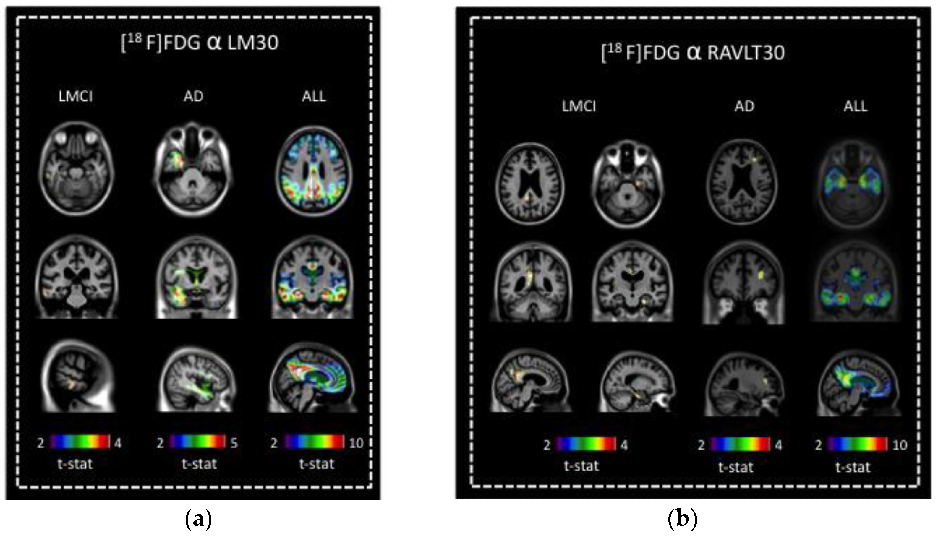 Brainsci 13 00232 g002