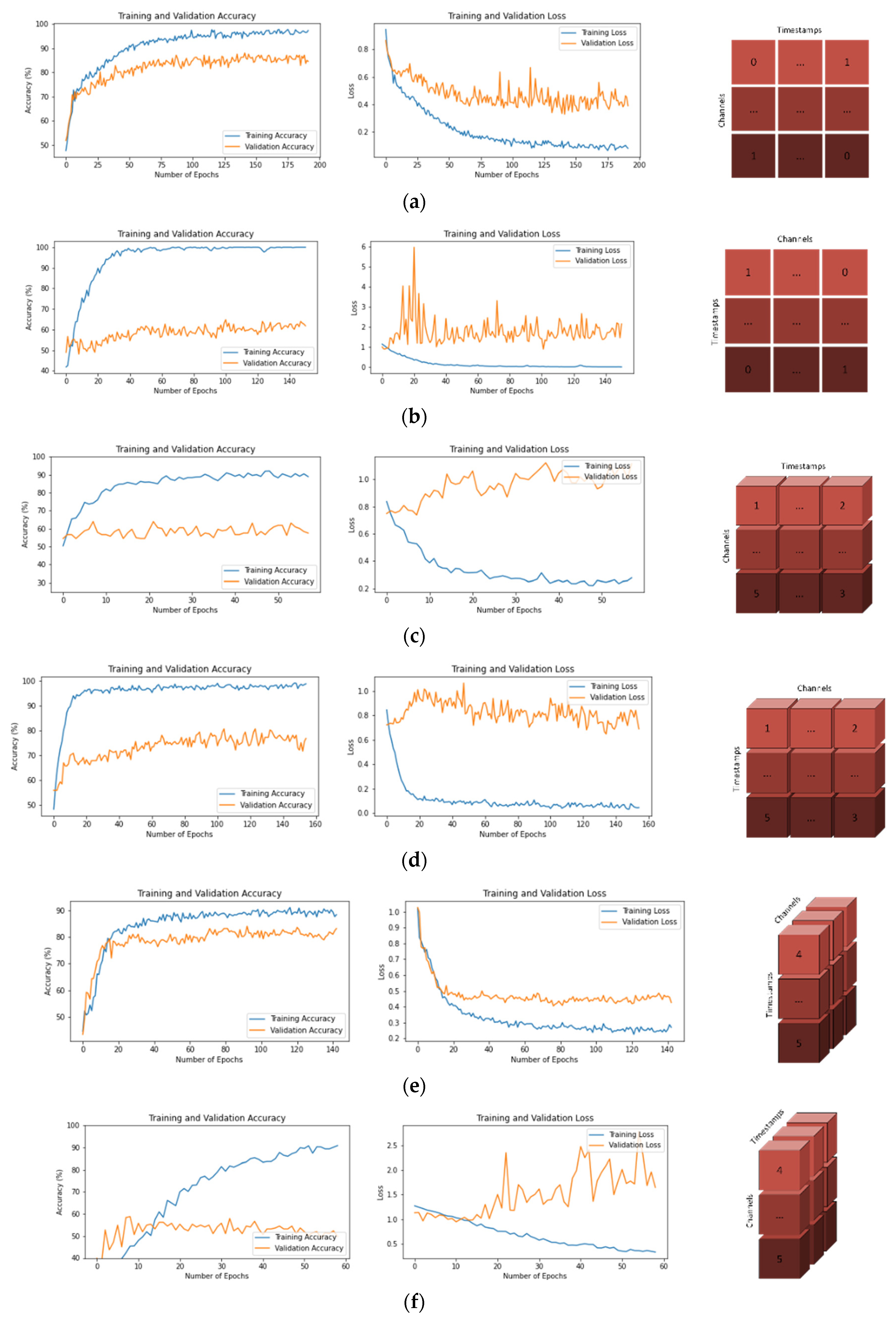 Brainsci 13 00240 g004a