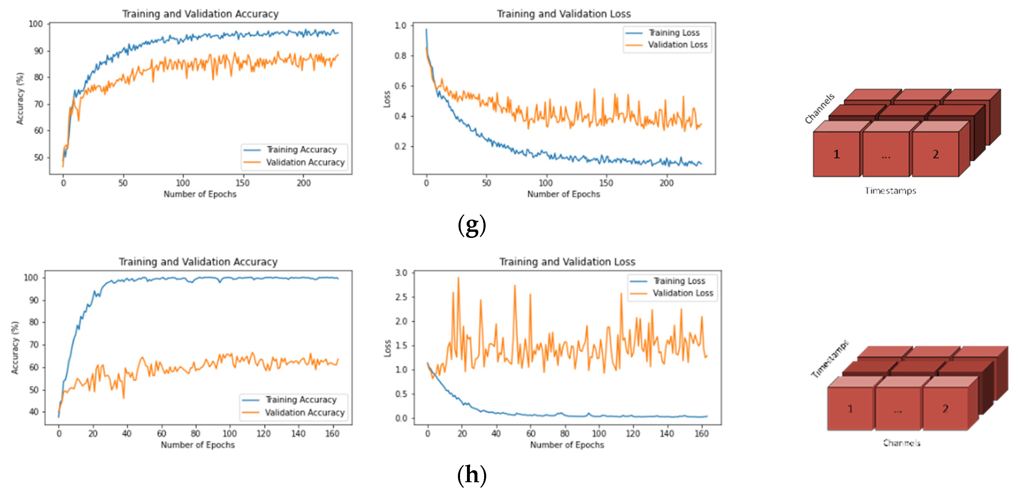 Brainsci 13 00240 g004b