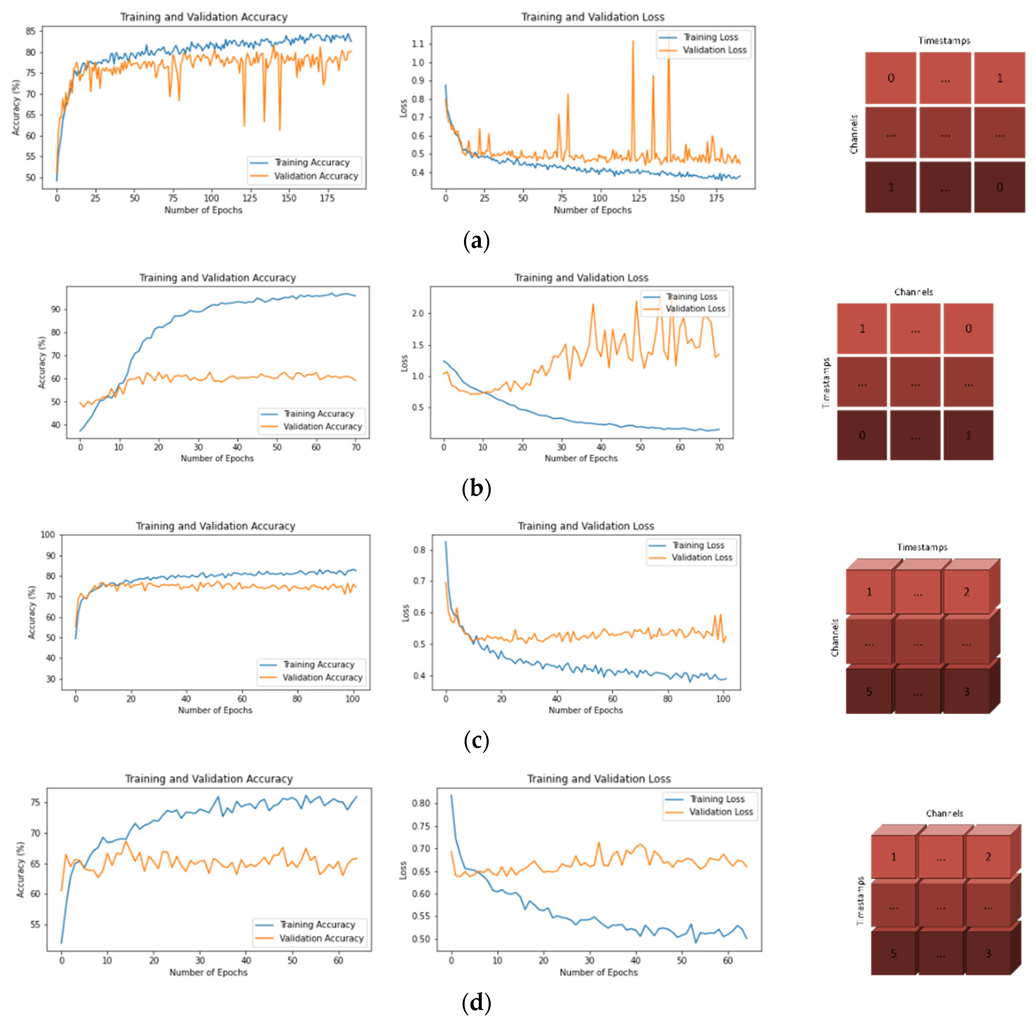 Brainsci 13 00240 g005a
