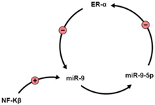 Brainsci 13 00243 i001