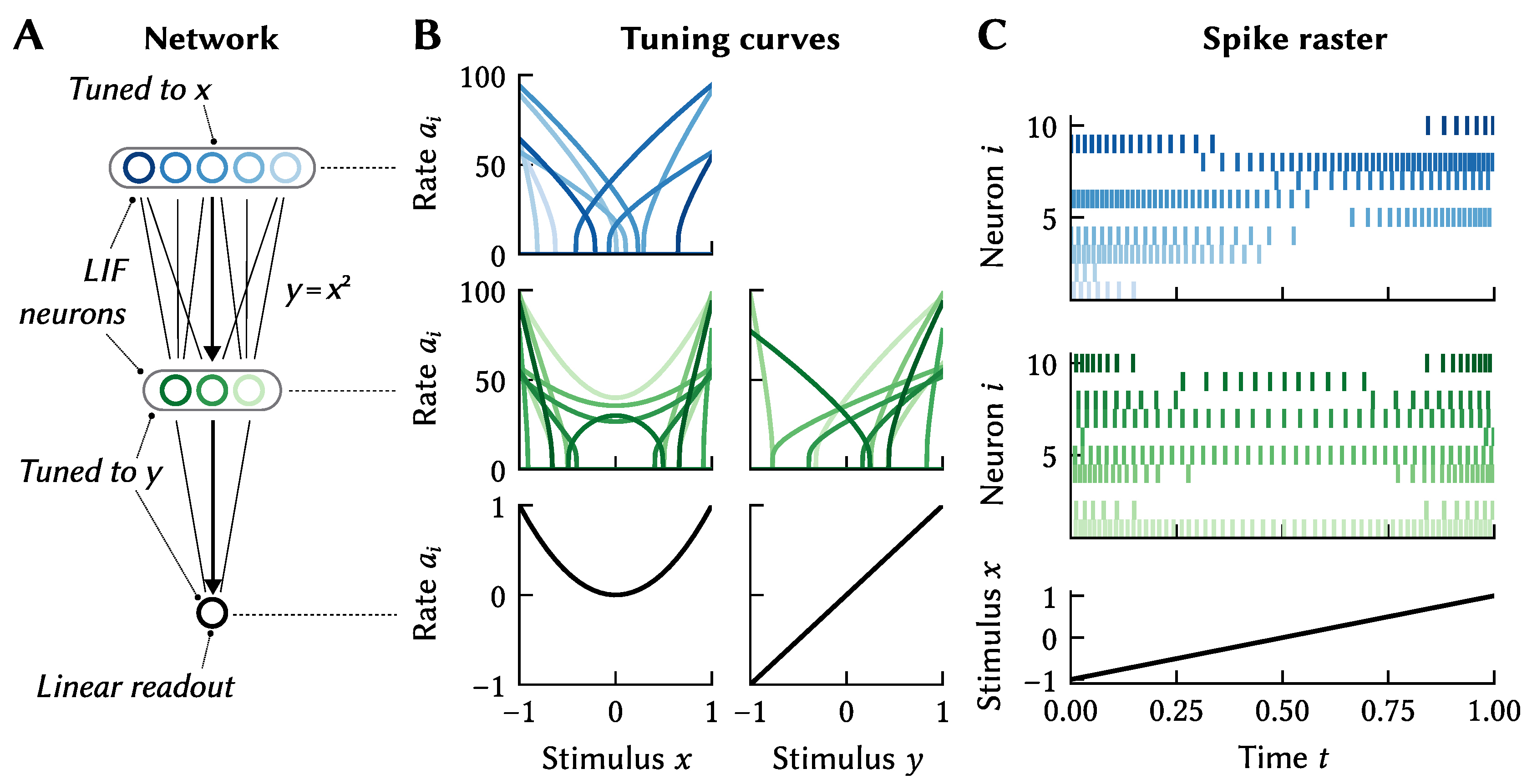 Brainsci 13 00245 g004