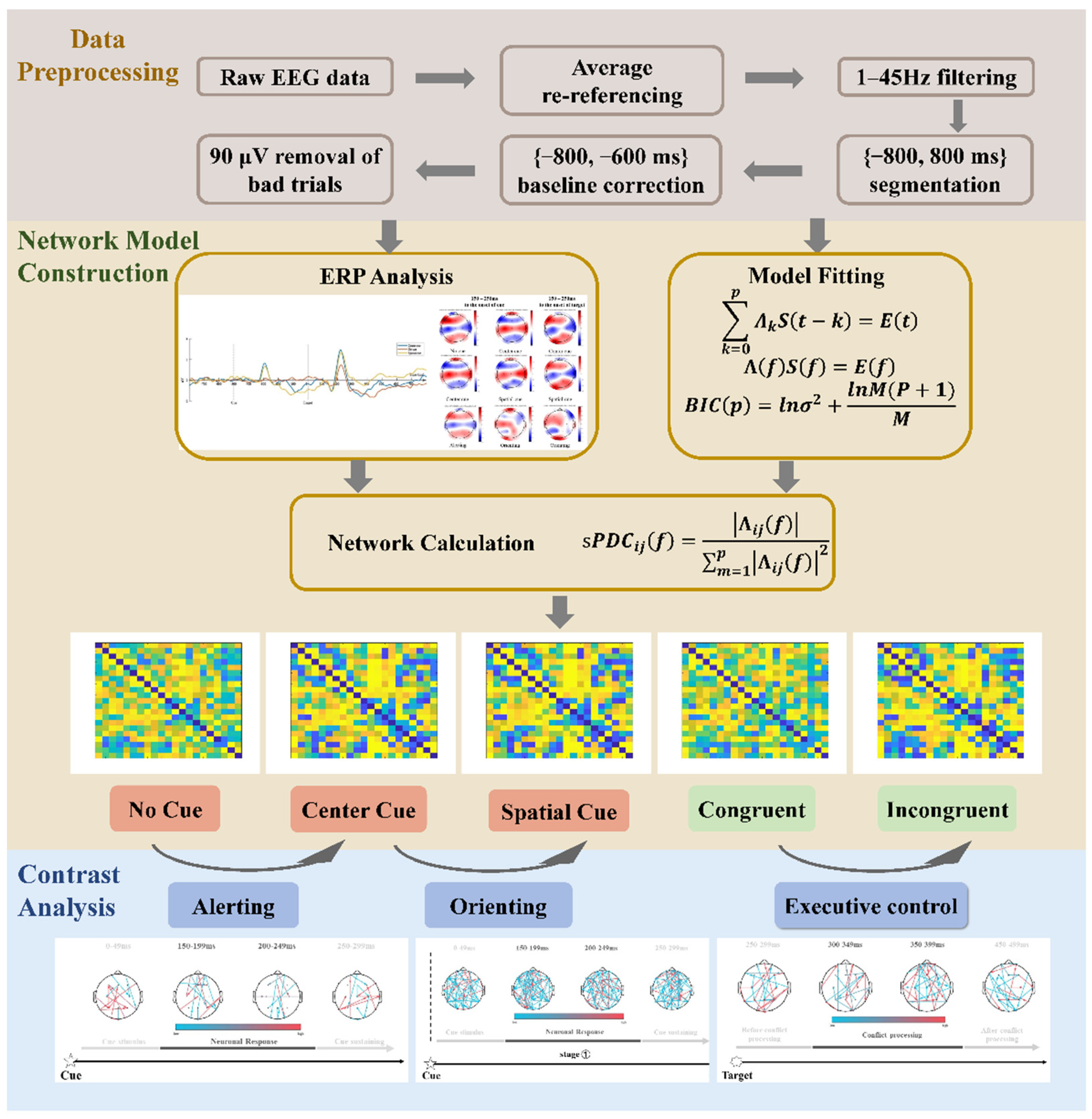 Brainsci 13 00247 g002