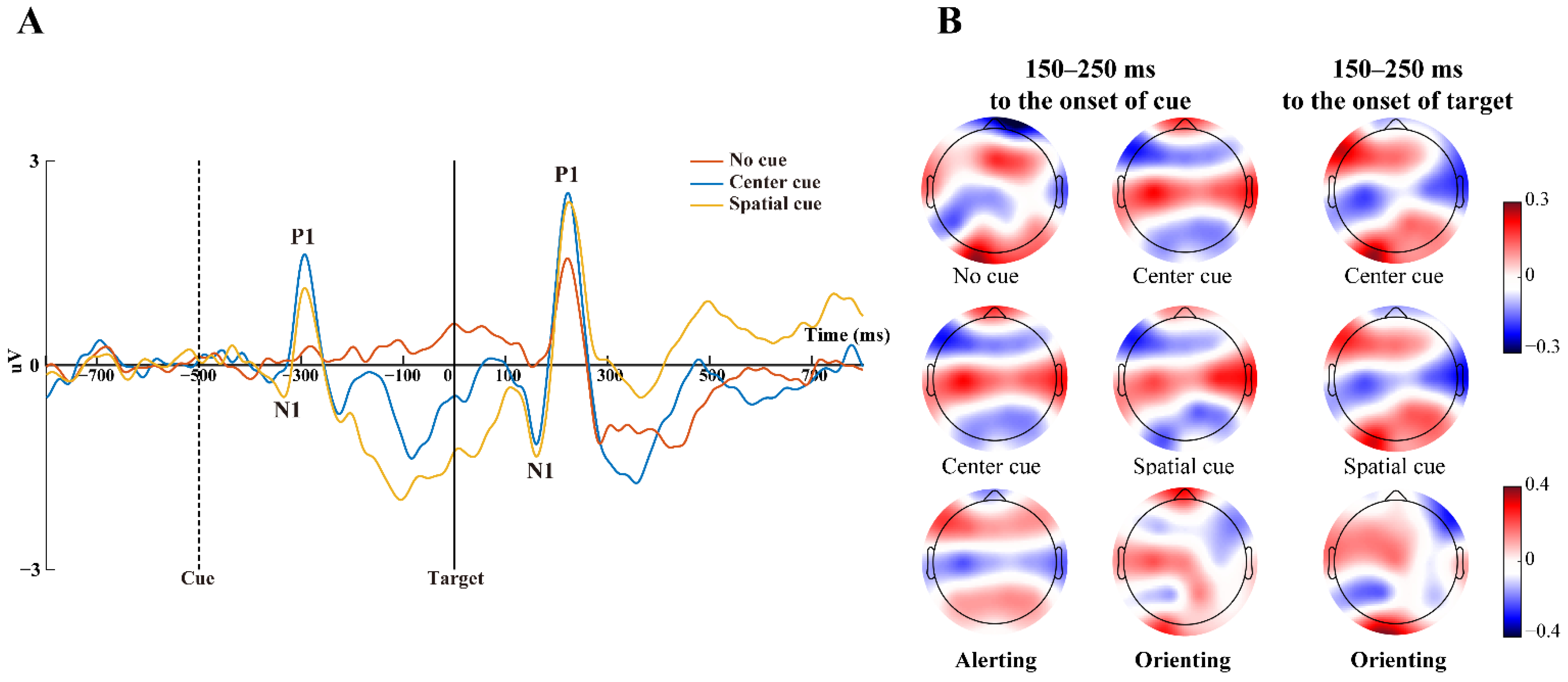 Brainsci 13 00247 g005