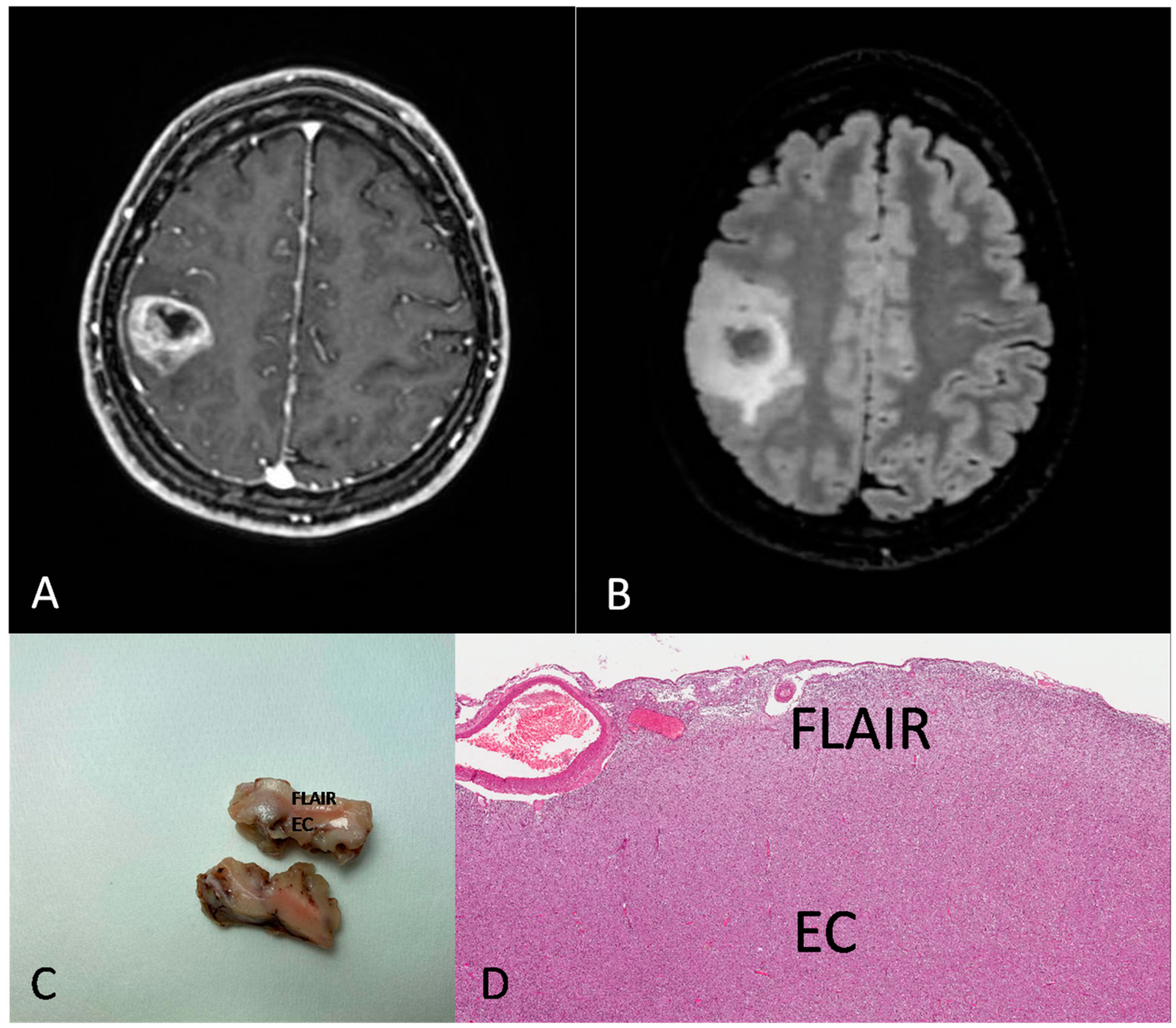 Brainsci 13 00248 g003