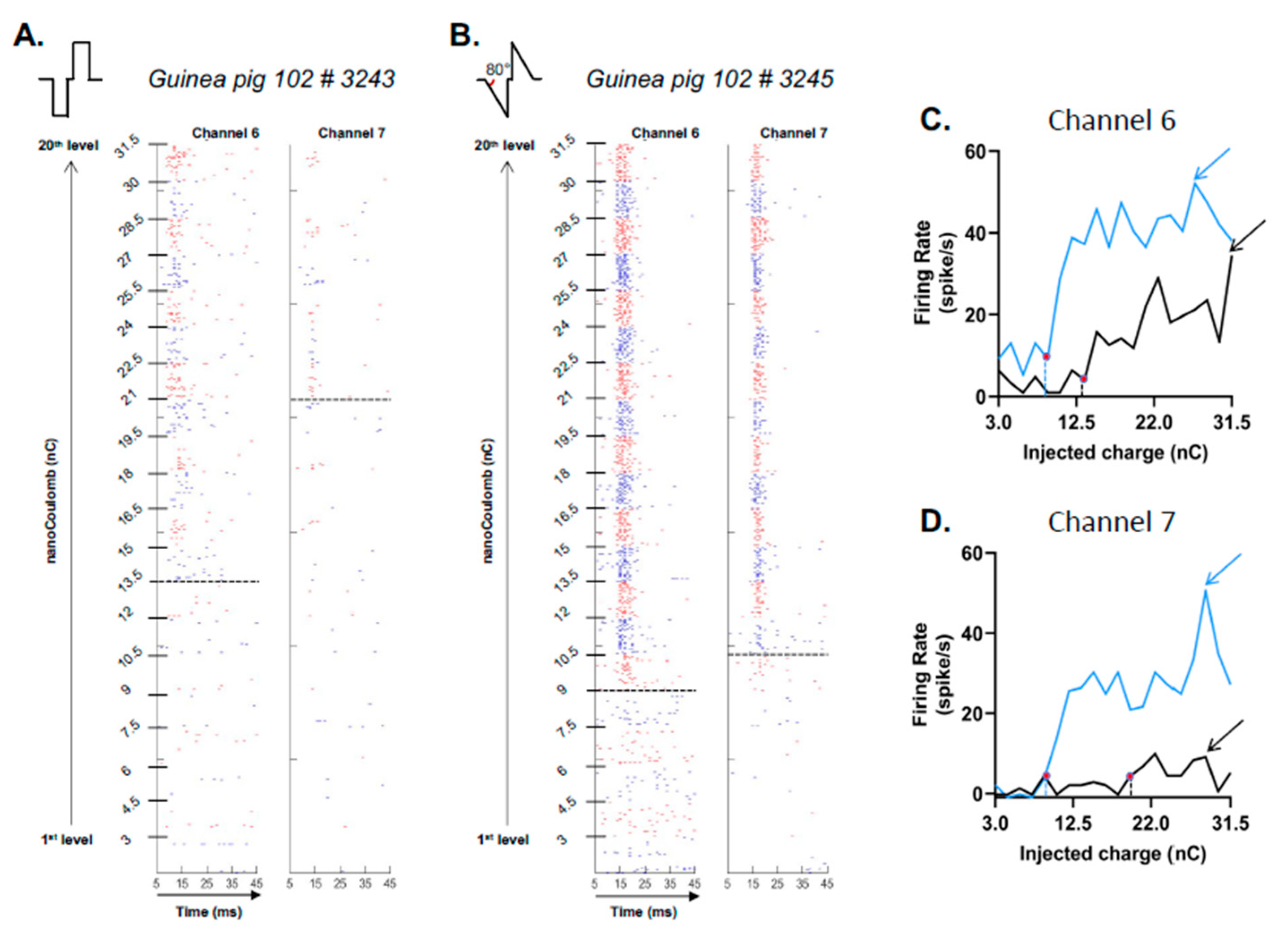 Brainsci 13 00250 g002