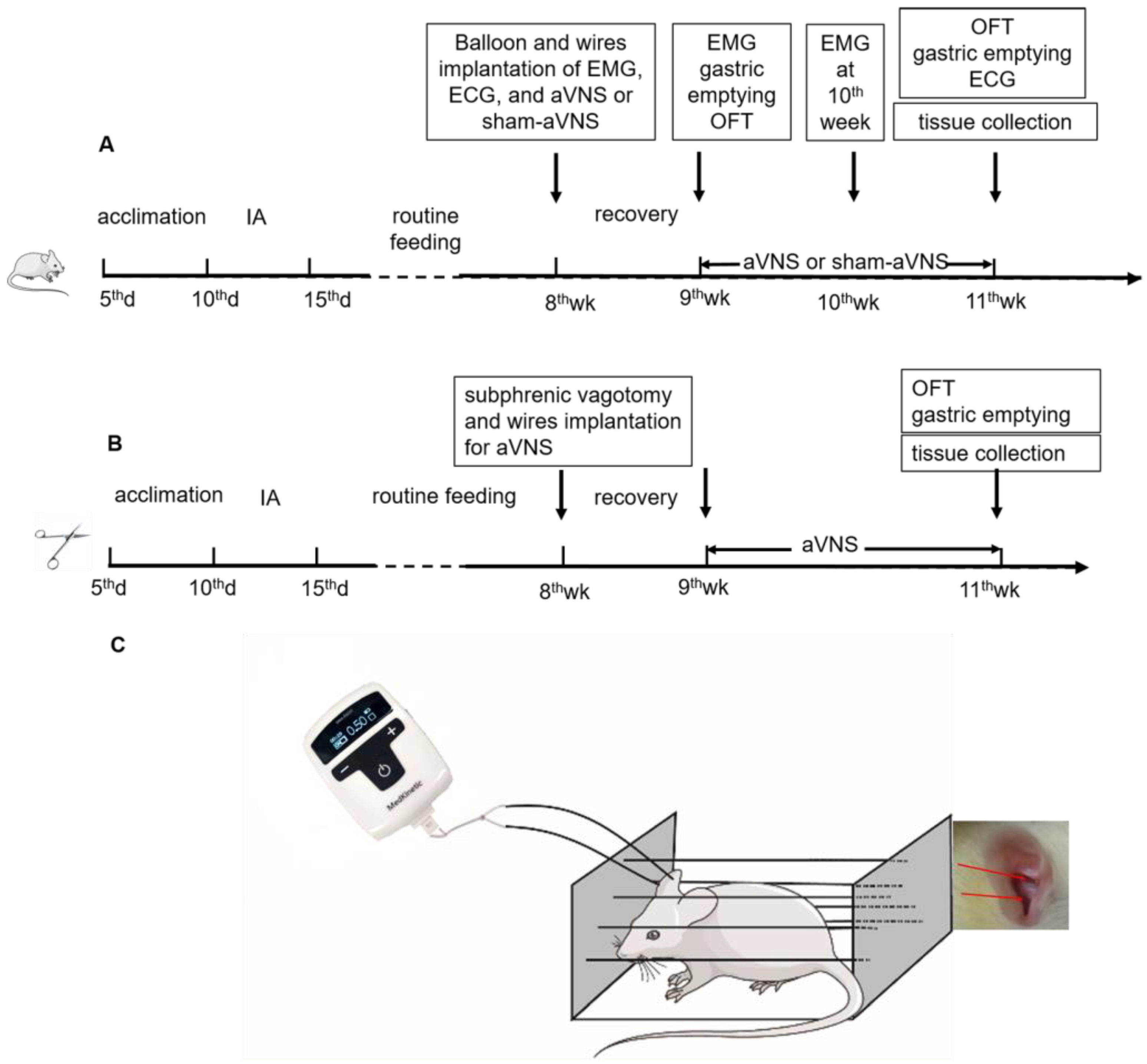 Brainsci 13 00253 g001