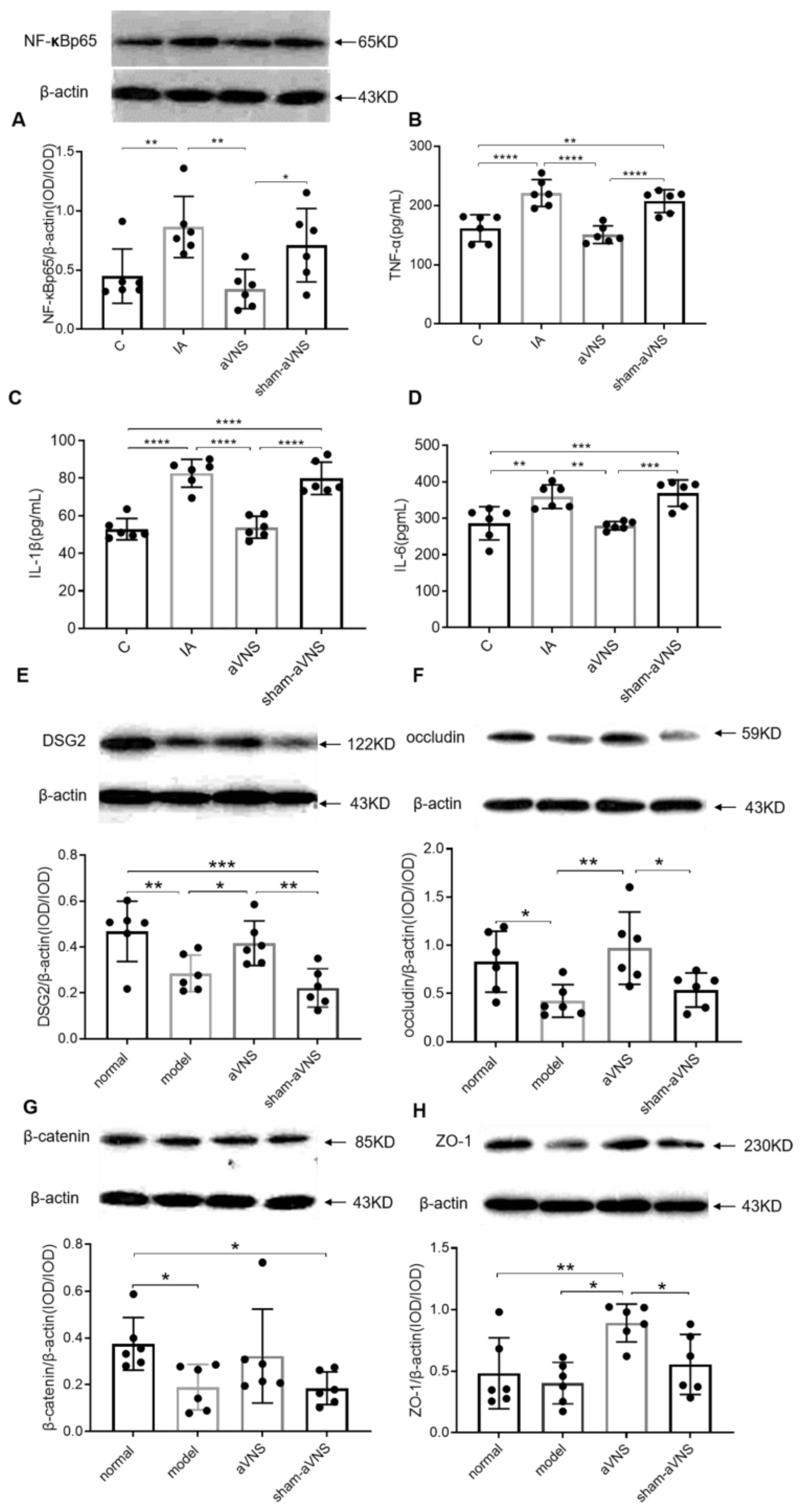 Brainsci 13 00253 g005