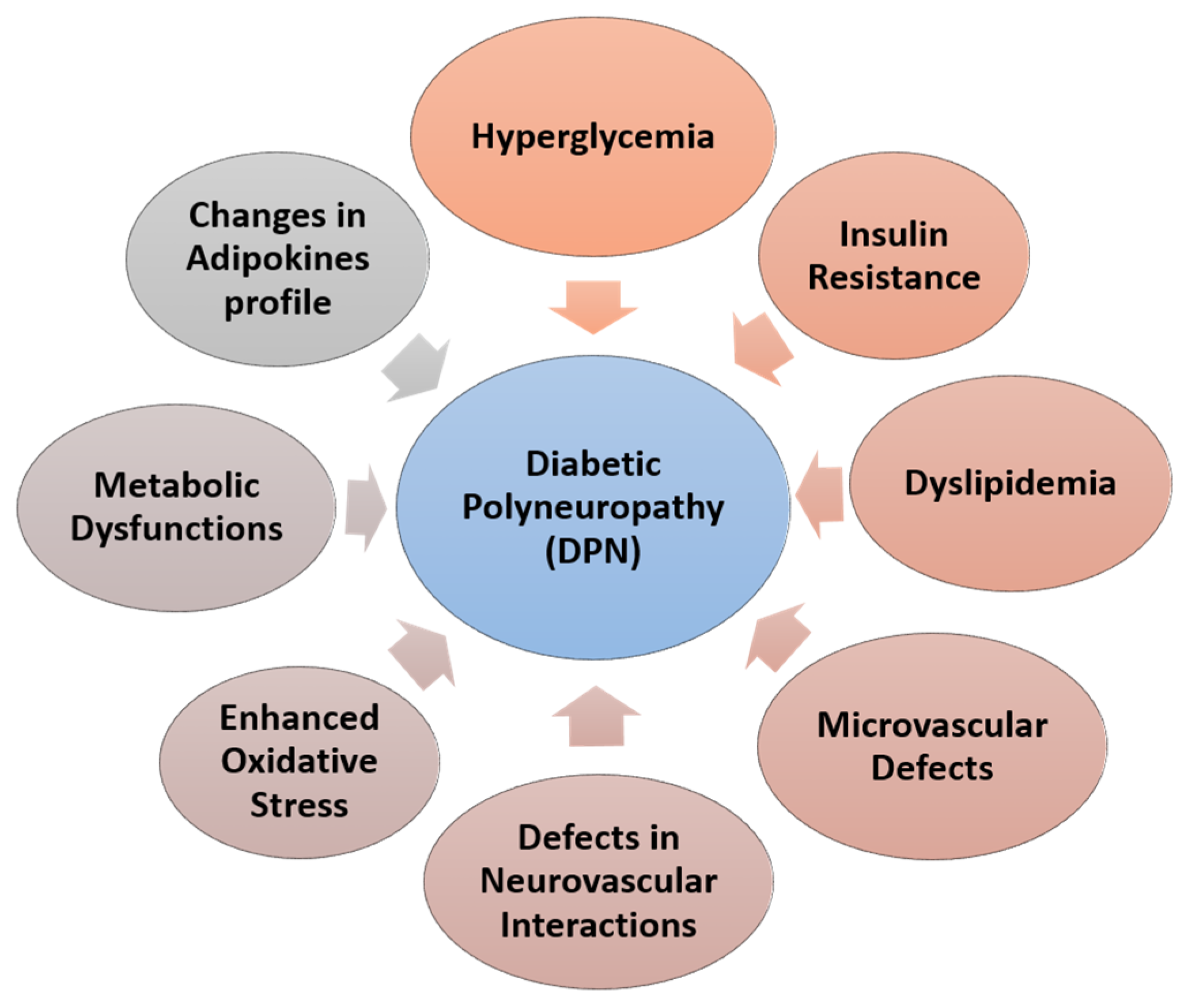 Brainsci 13 00255 g001