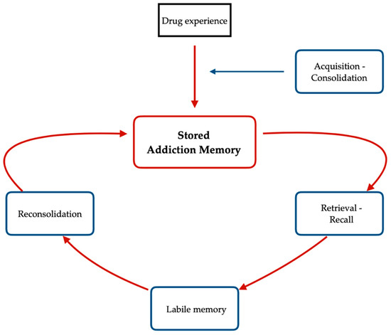 Brainsci 13 00259 g001