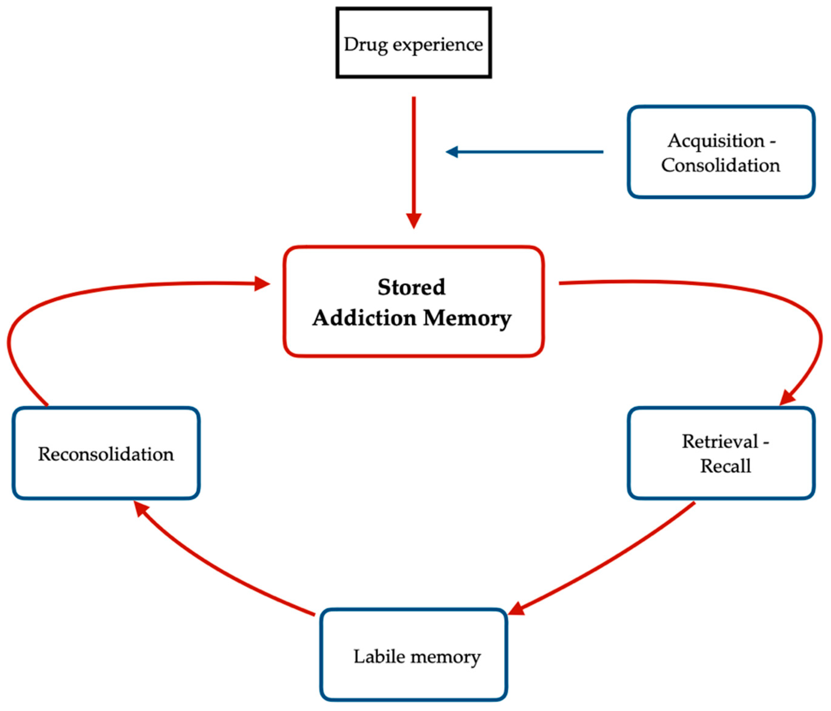 Brainsci 13 00259 g001 Brainsci 13 00259 g001