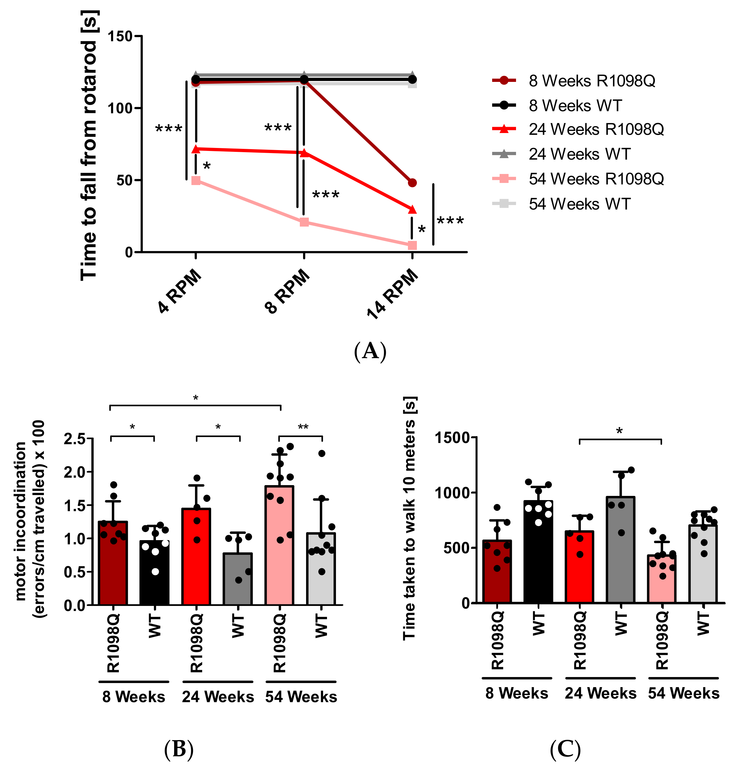 Brainsci 13 00261 g001
