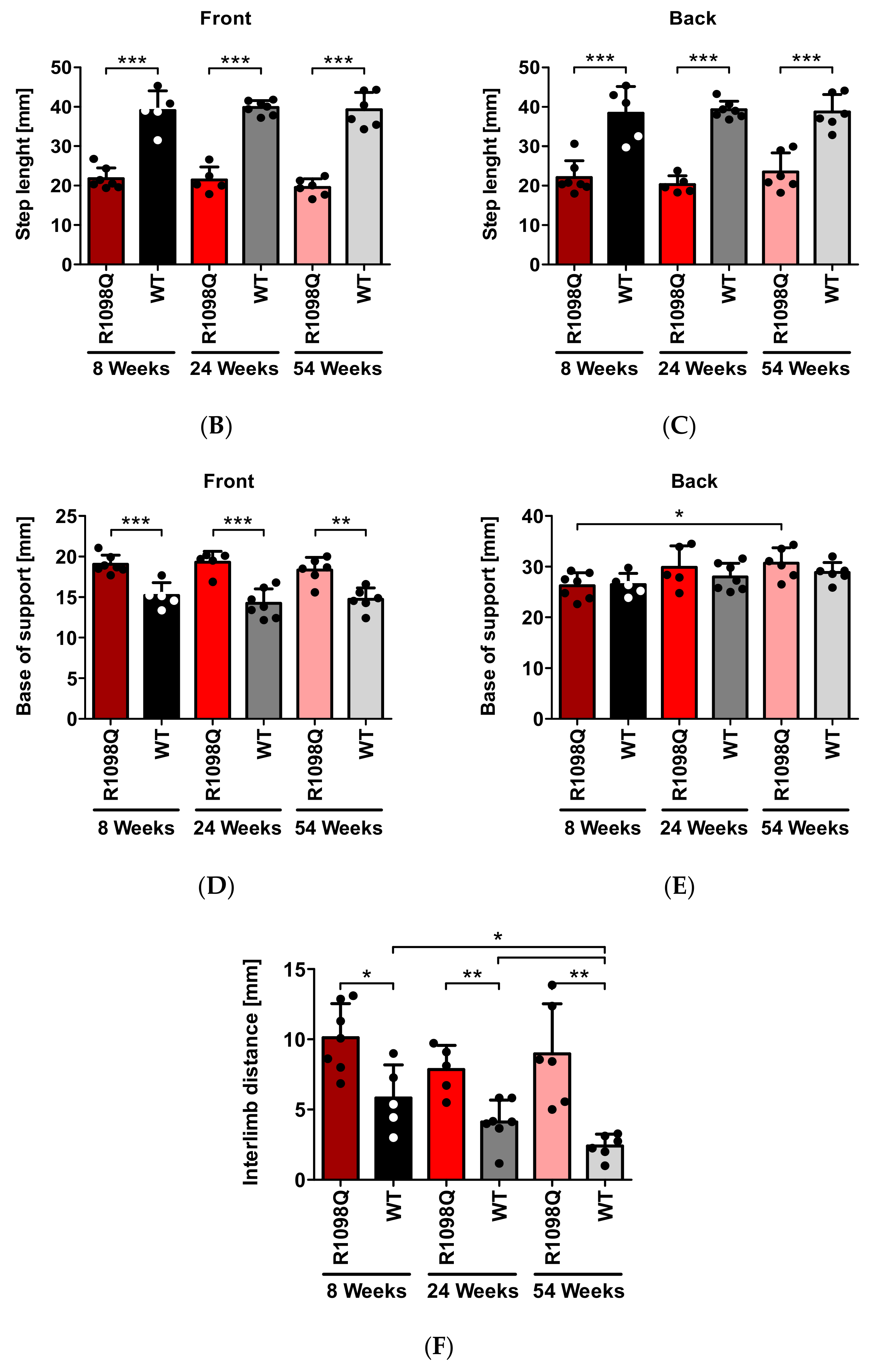 Brainsci 13 00261 g002b