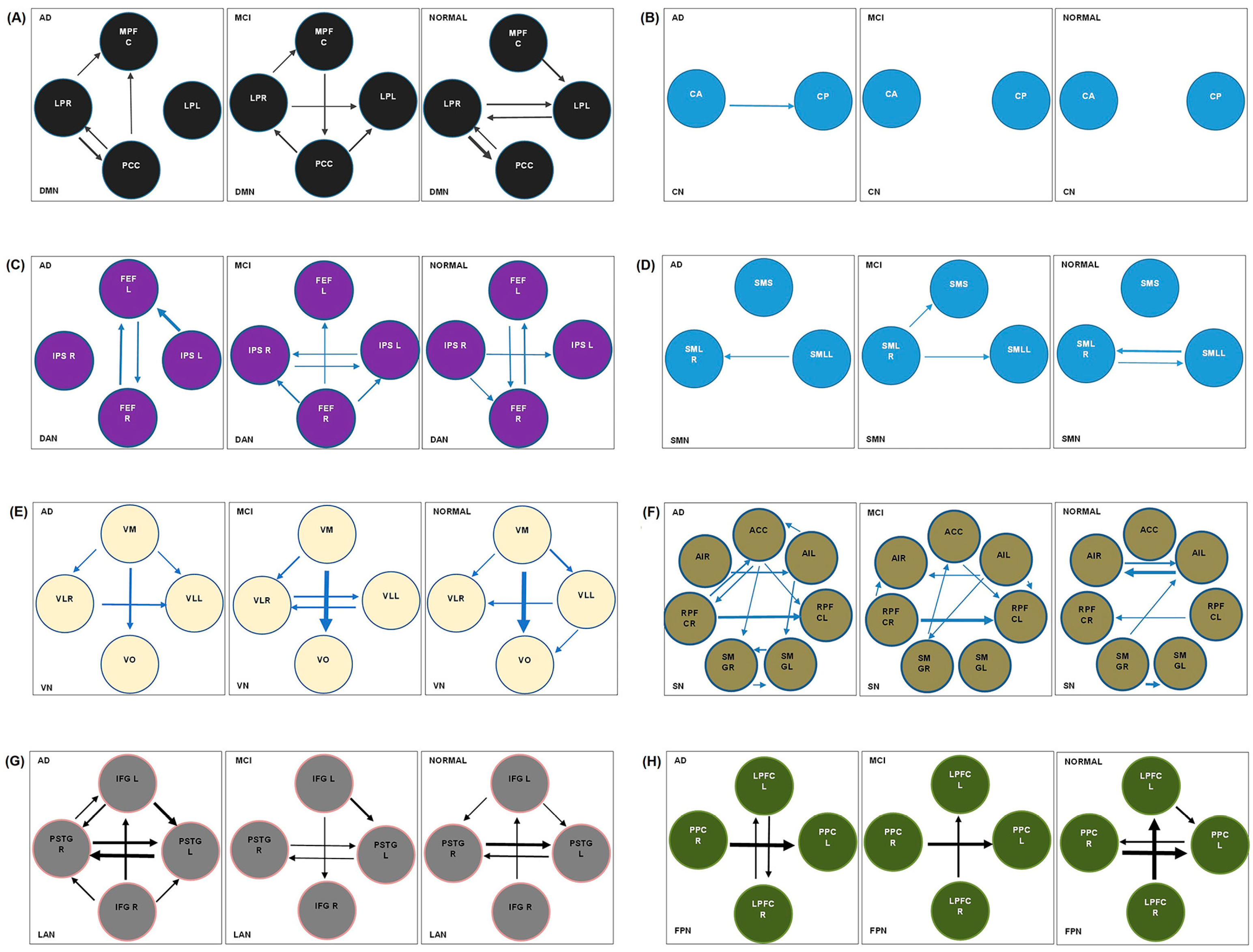 Brainsci 13 00265 g003