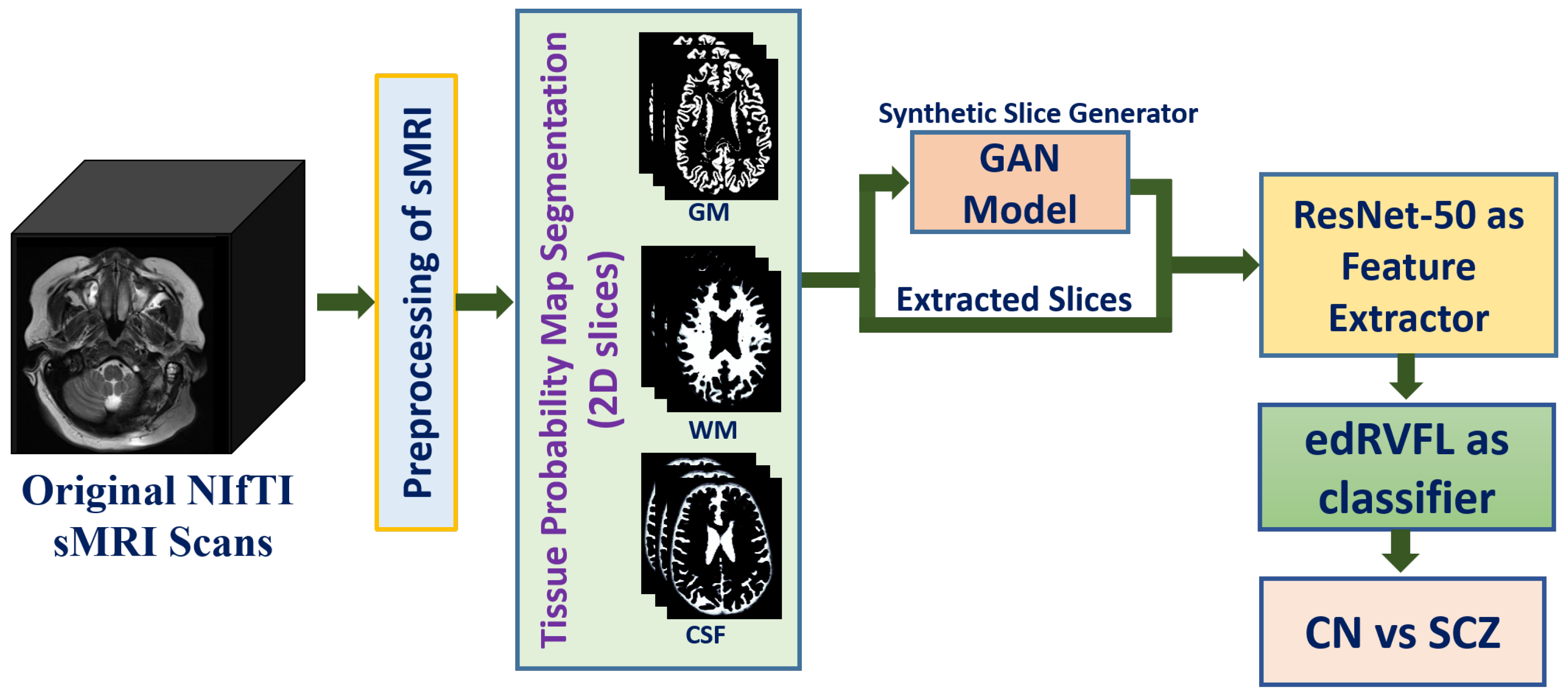 Brainsci 13 00267 g001