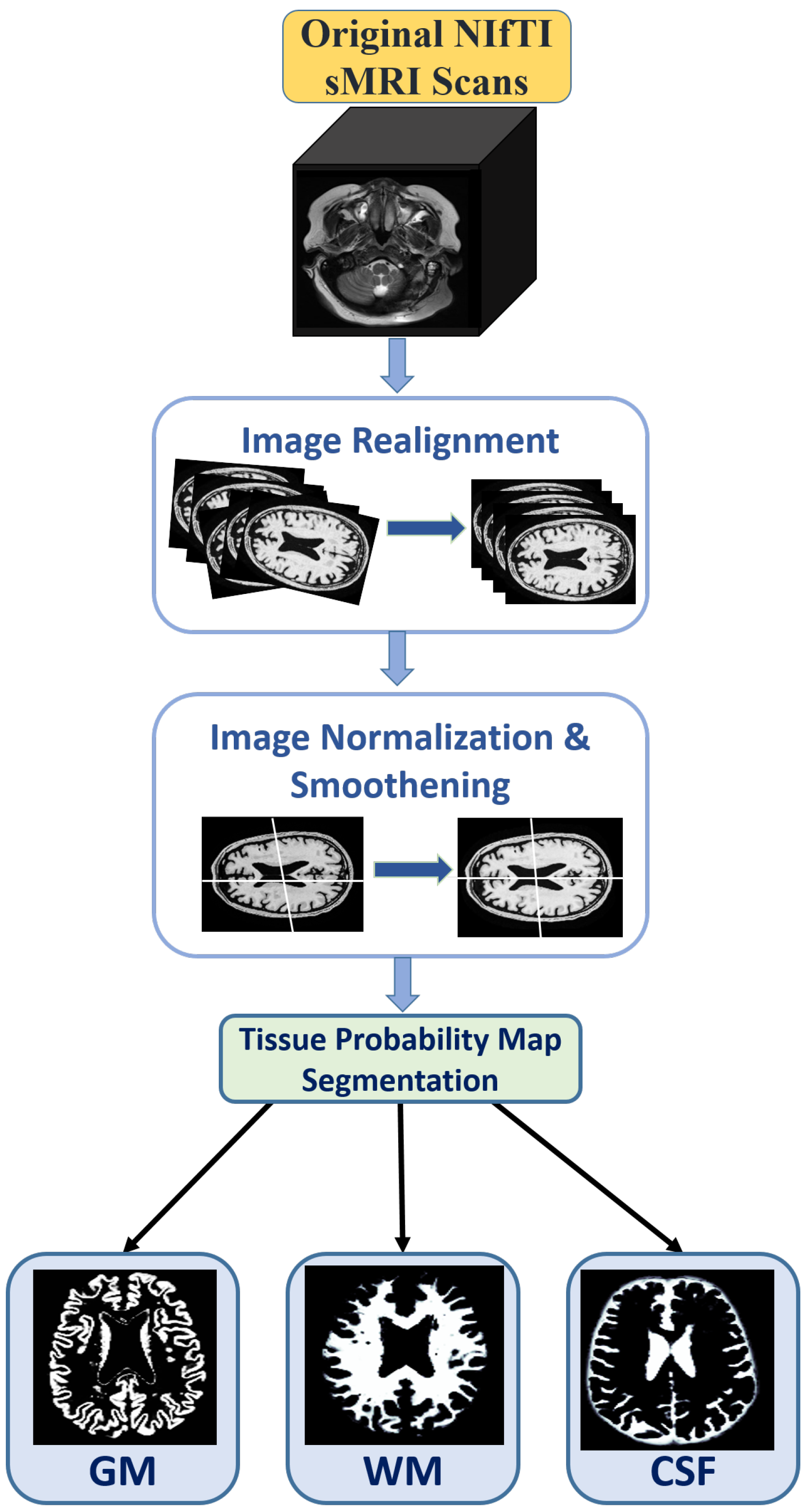 Brainsci 13 00267 g002