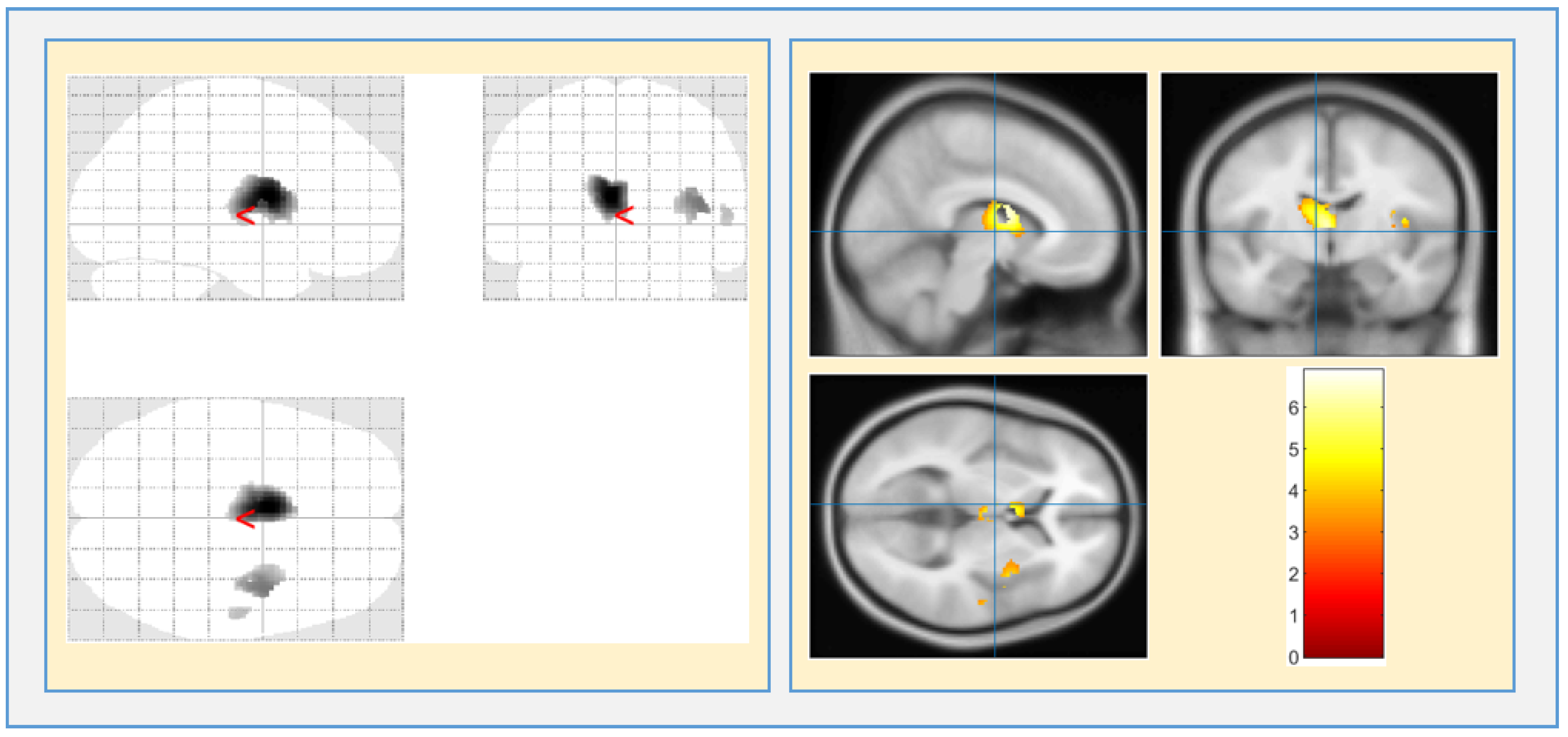 Brainsci 13 00267 g009