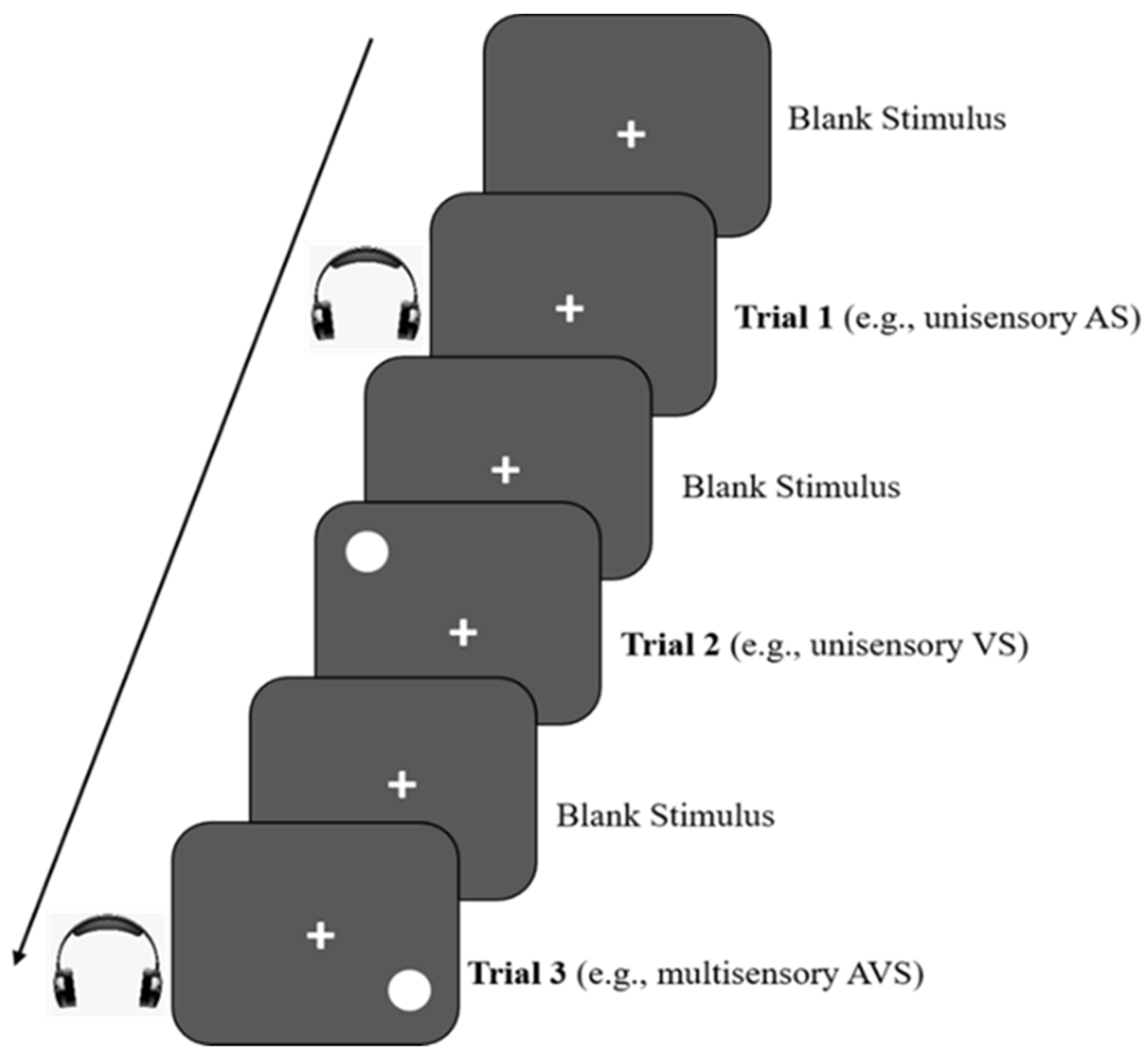 Brainsci 13 00270 g002