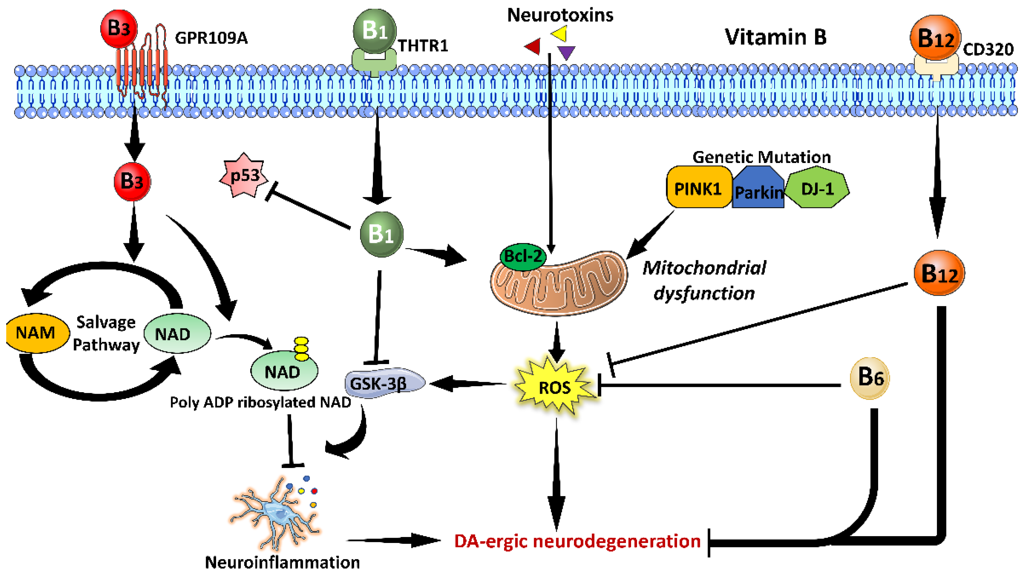 Brainsci 13 00272 g002