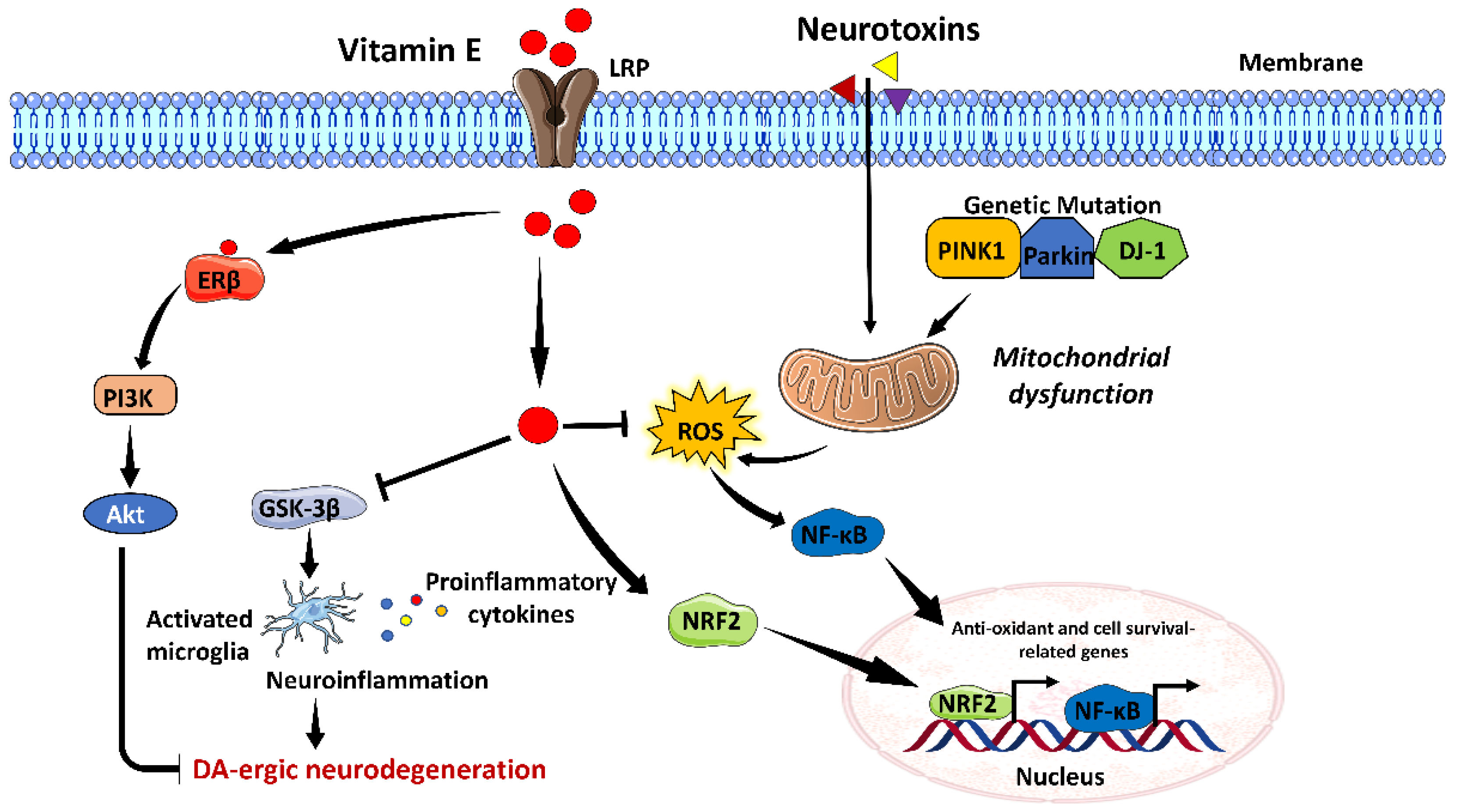 Brainsci 13 00272 g005