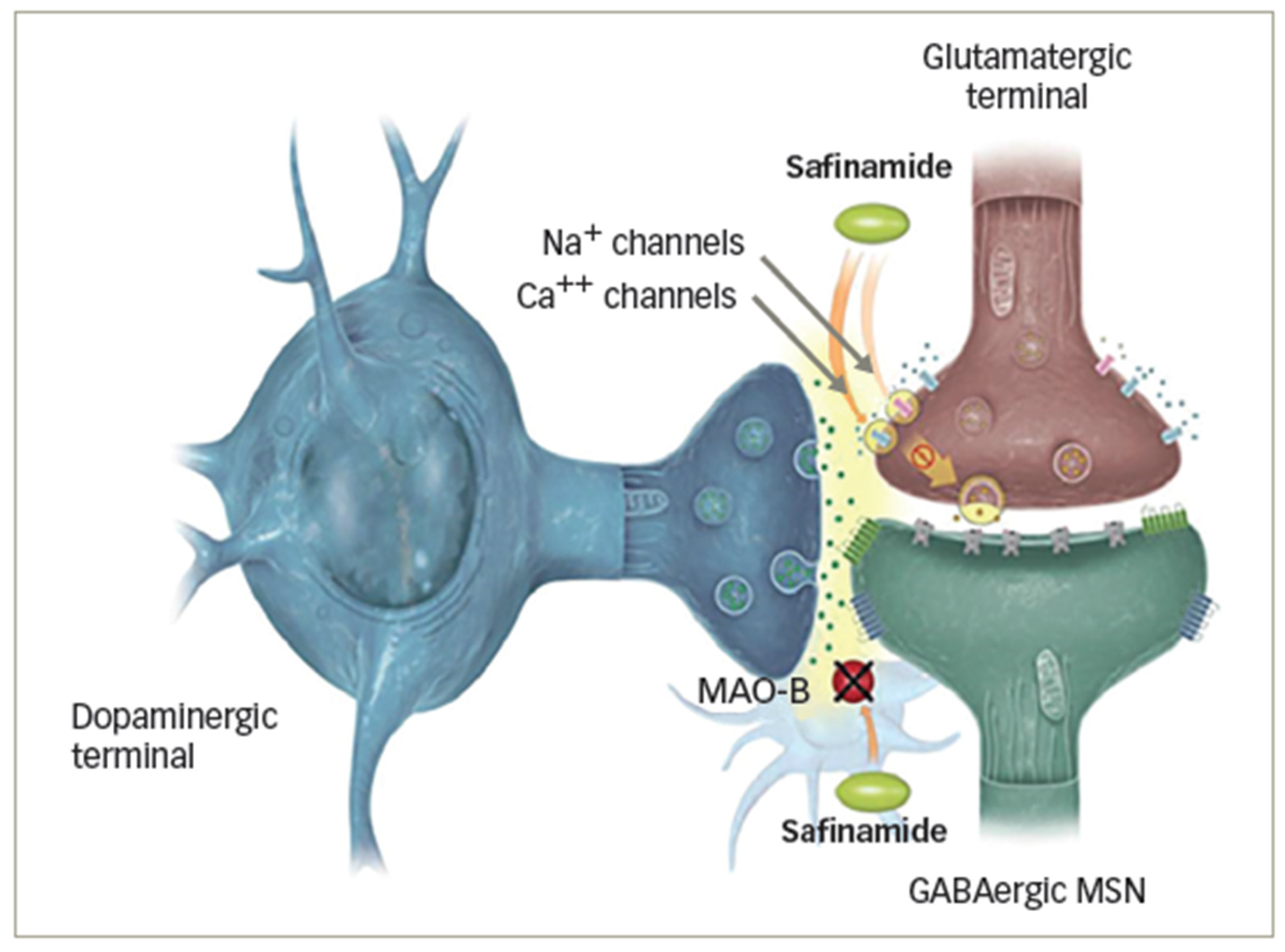 Brainsci 13 00276 g001 Brainsci 13 00276 g001