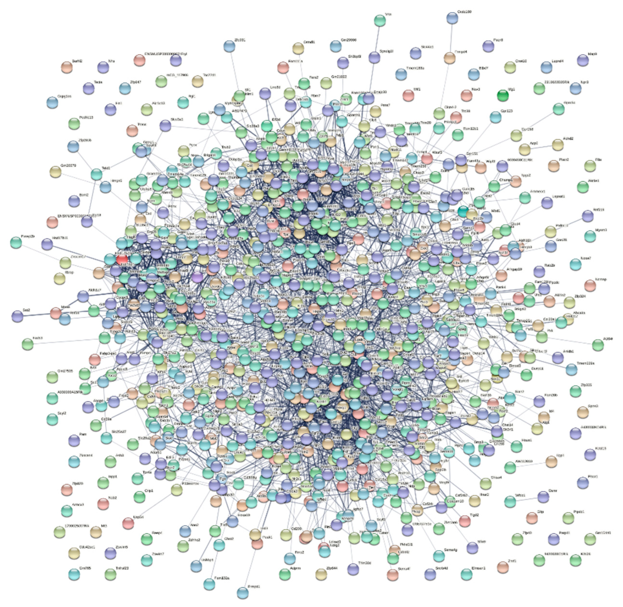 Brainsci 13 00281 g003