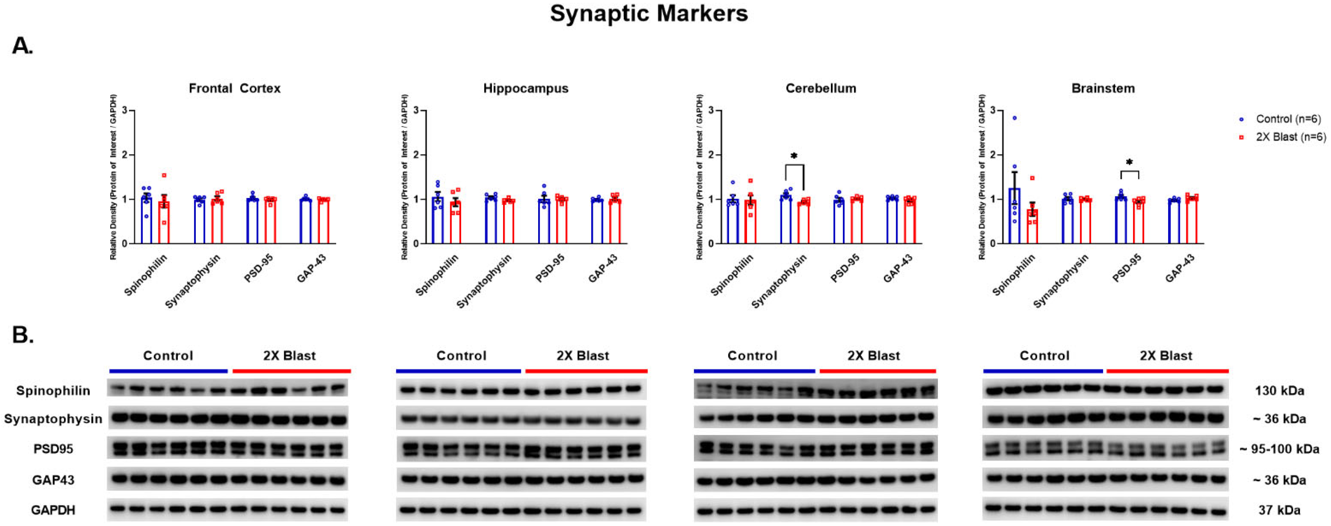 Brainsci 13 00286 g001