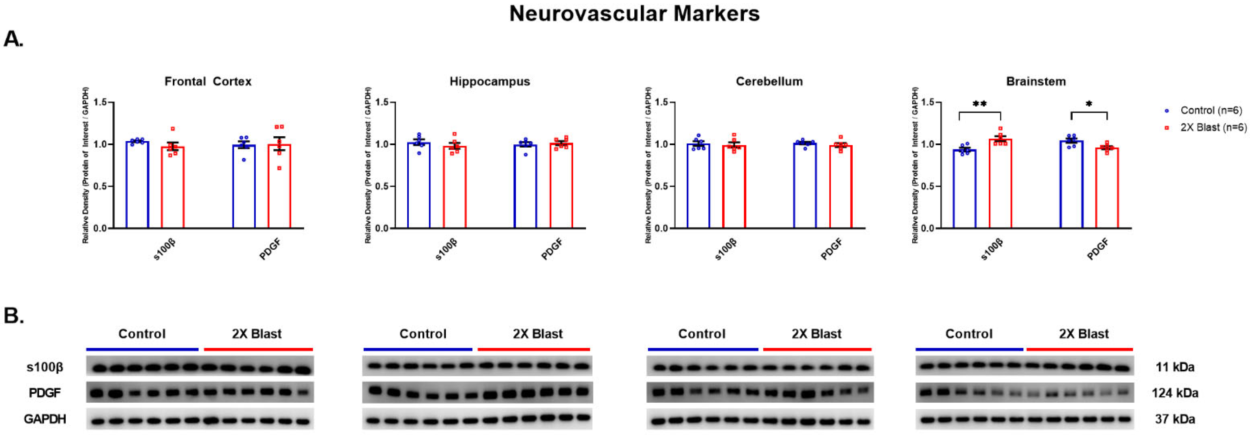 Brainsci 13 00286 g005