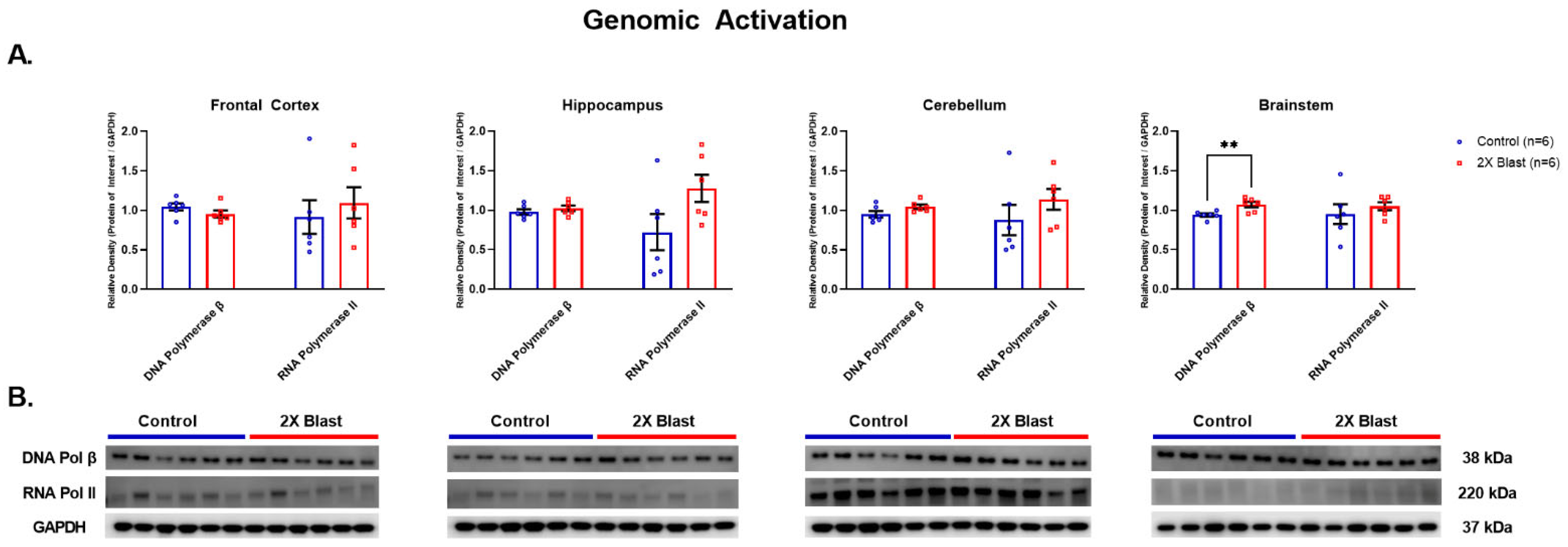 Brainsci 13 00286 g006
