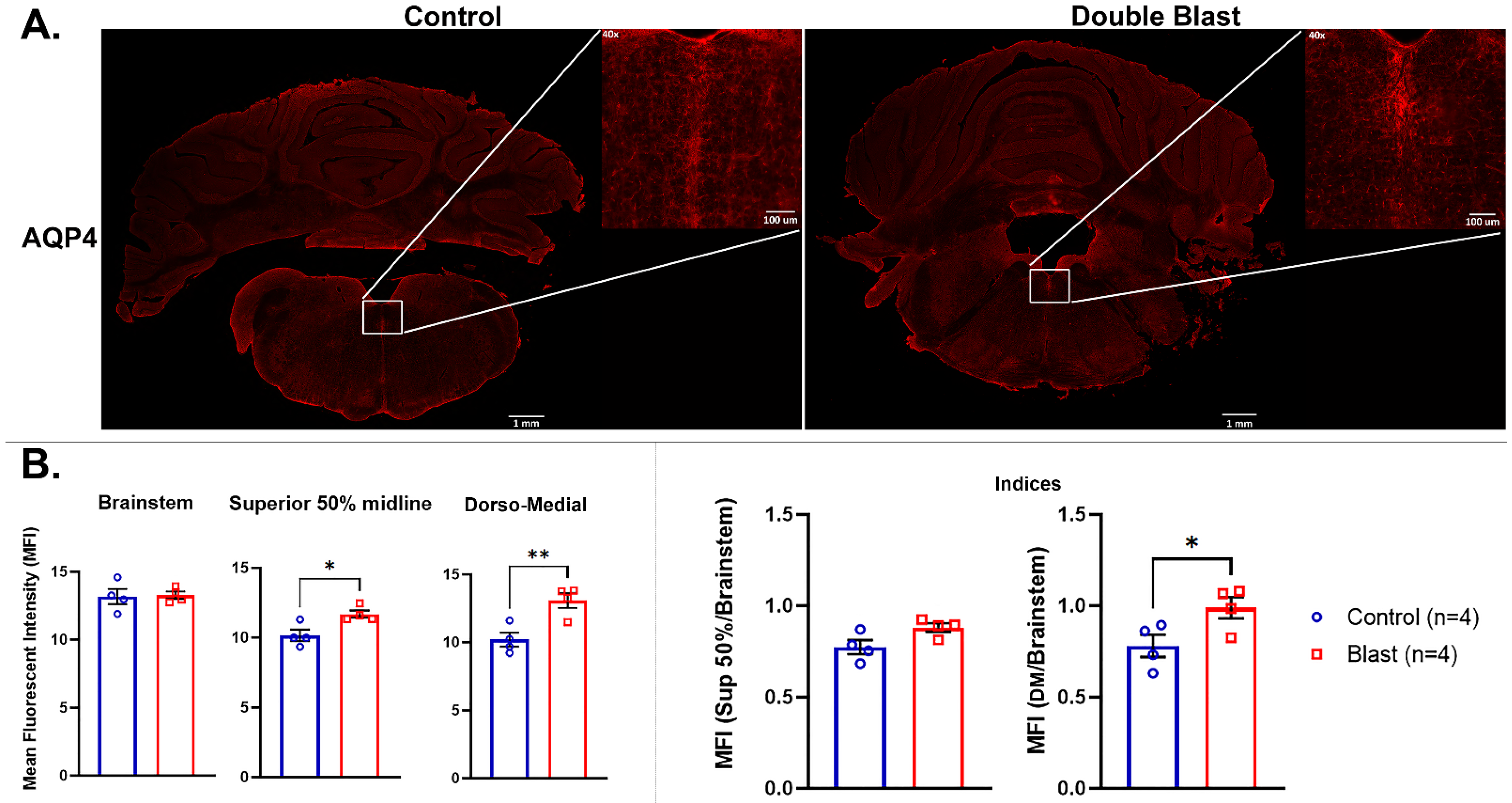Brainsci 13 00286 g007