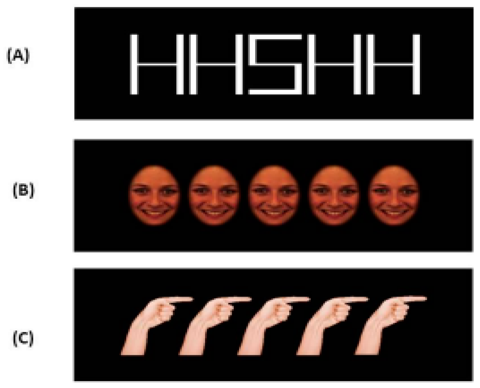 Brainsci 13 00298 g001