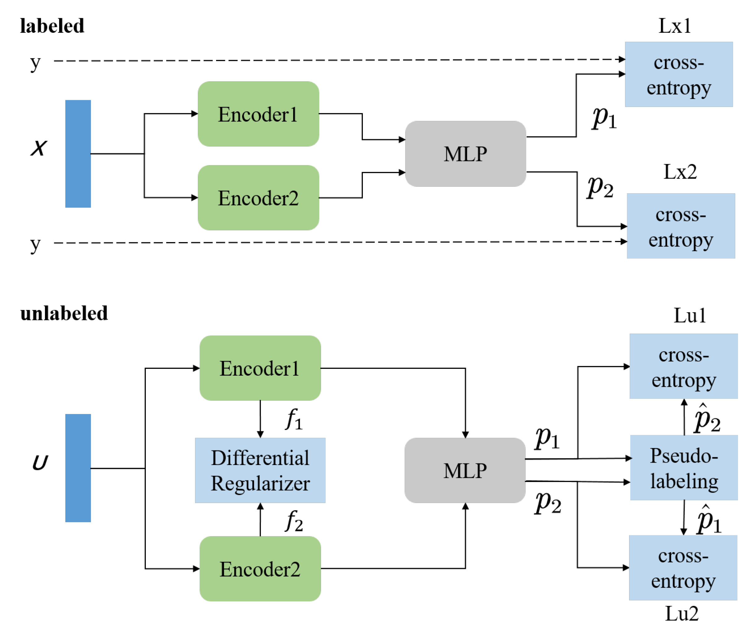 Brainsci 13 00306 g001