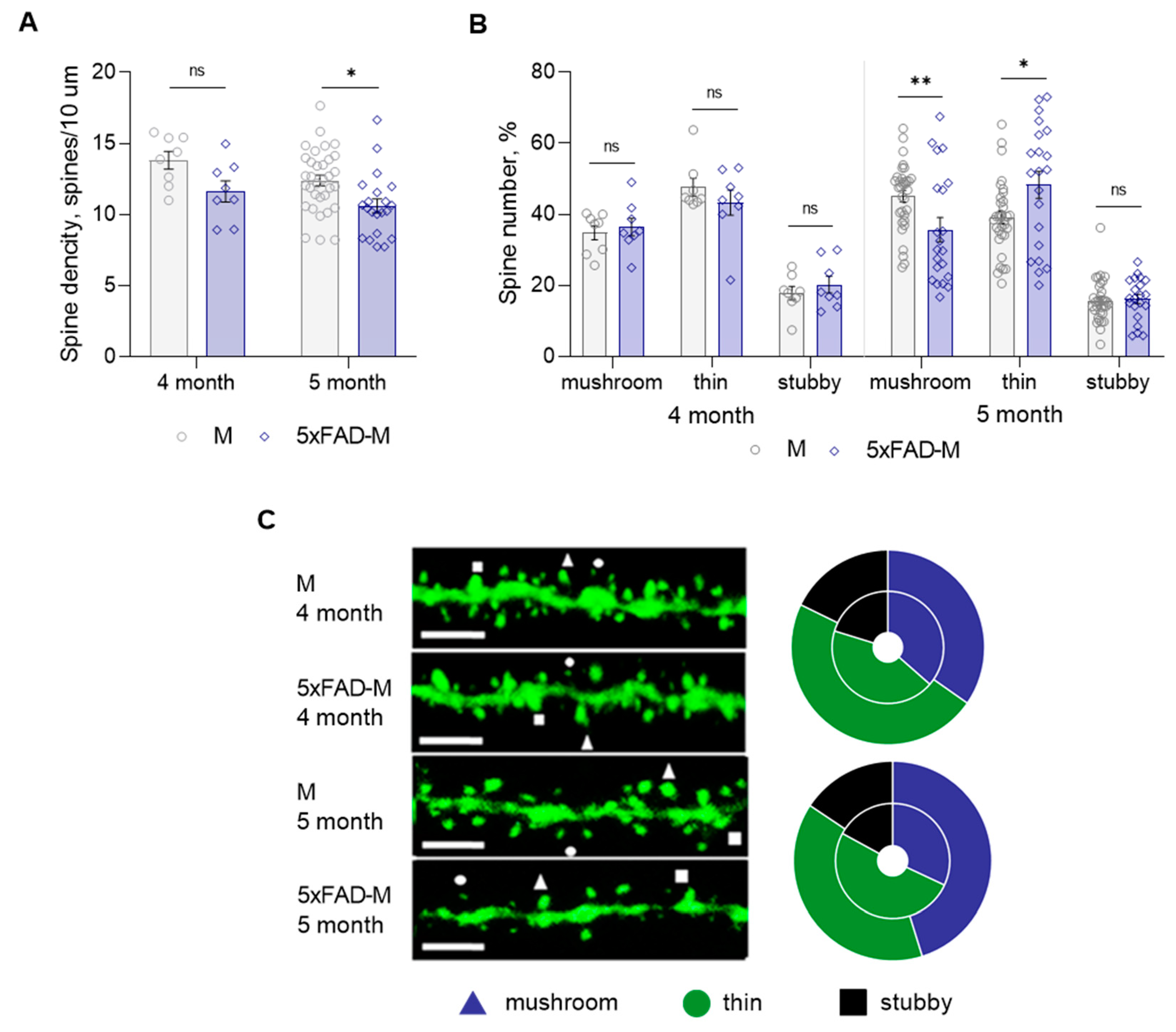 Brainsci 13 00307 g003