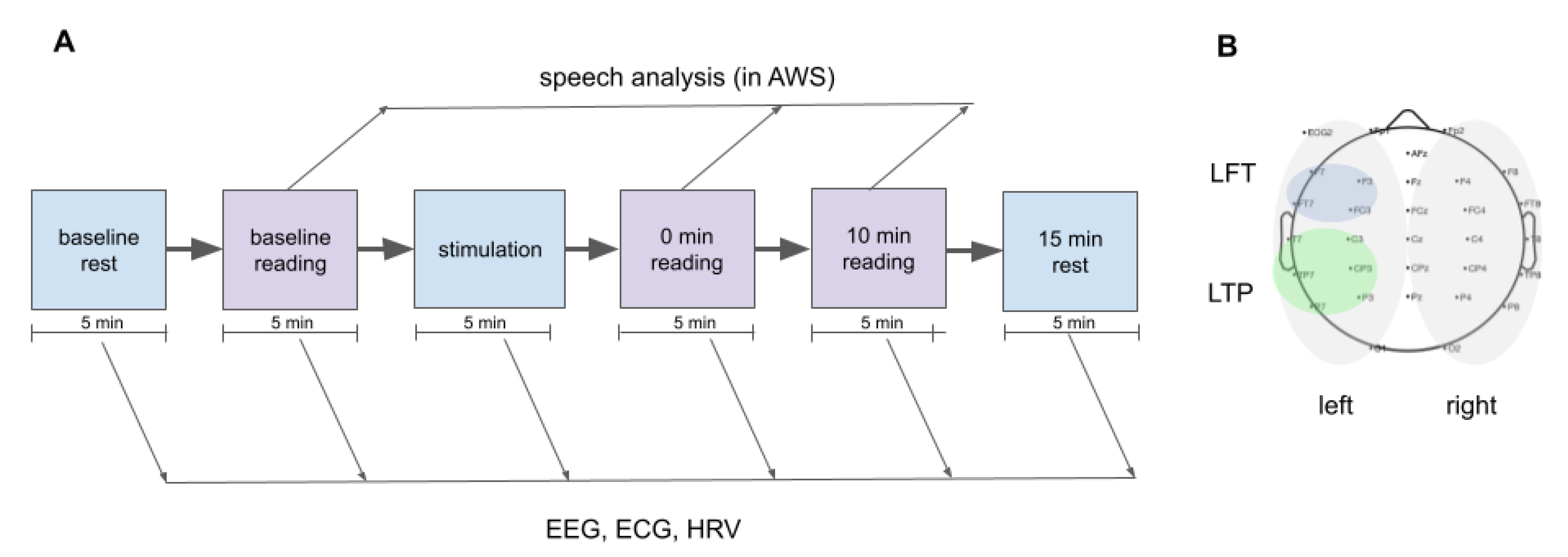 Brainsci 13 00309 g001