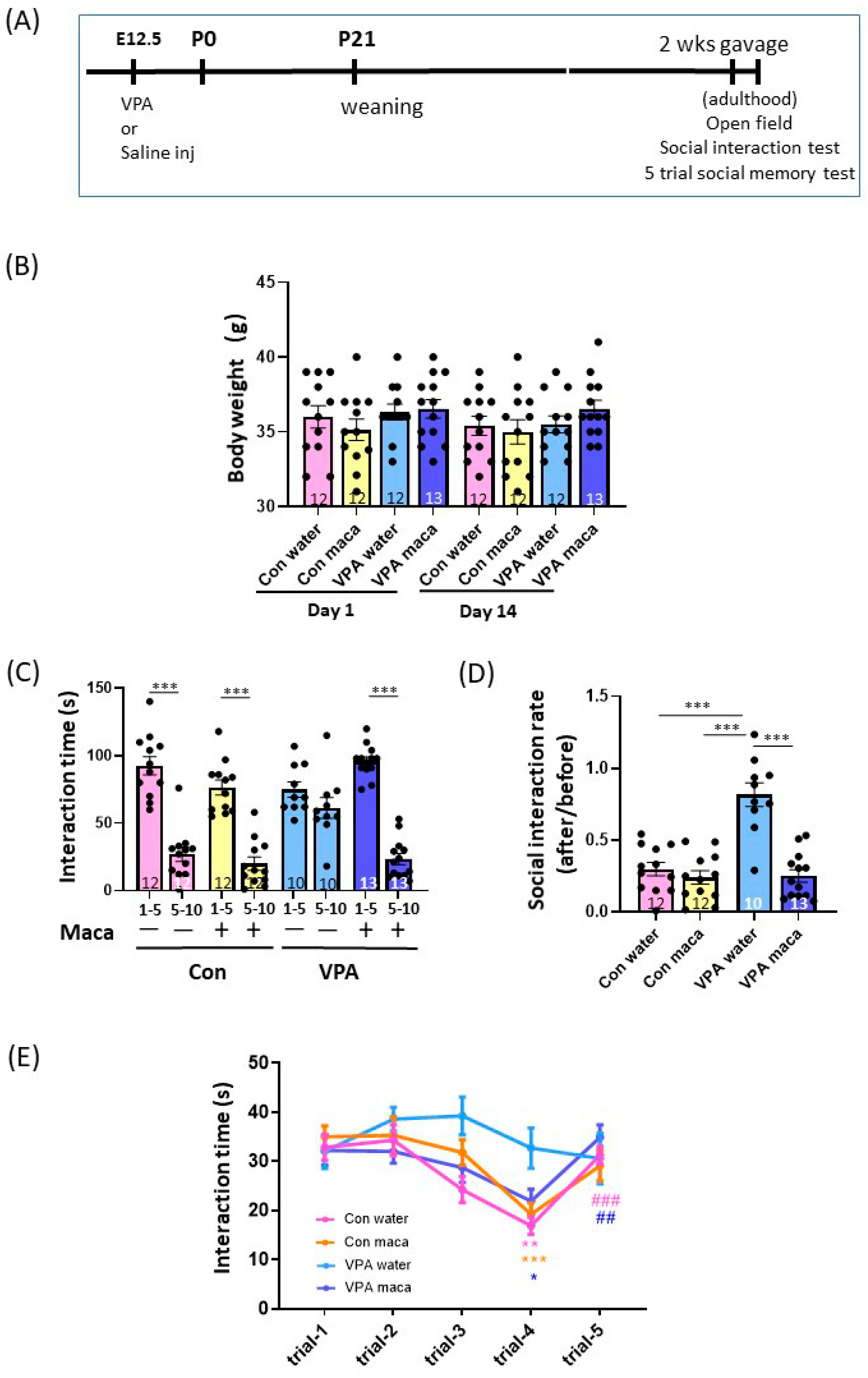 Brainsci 13 00316 g003