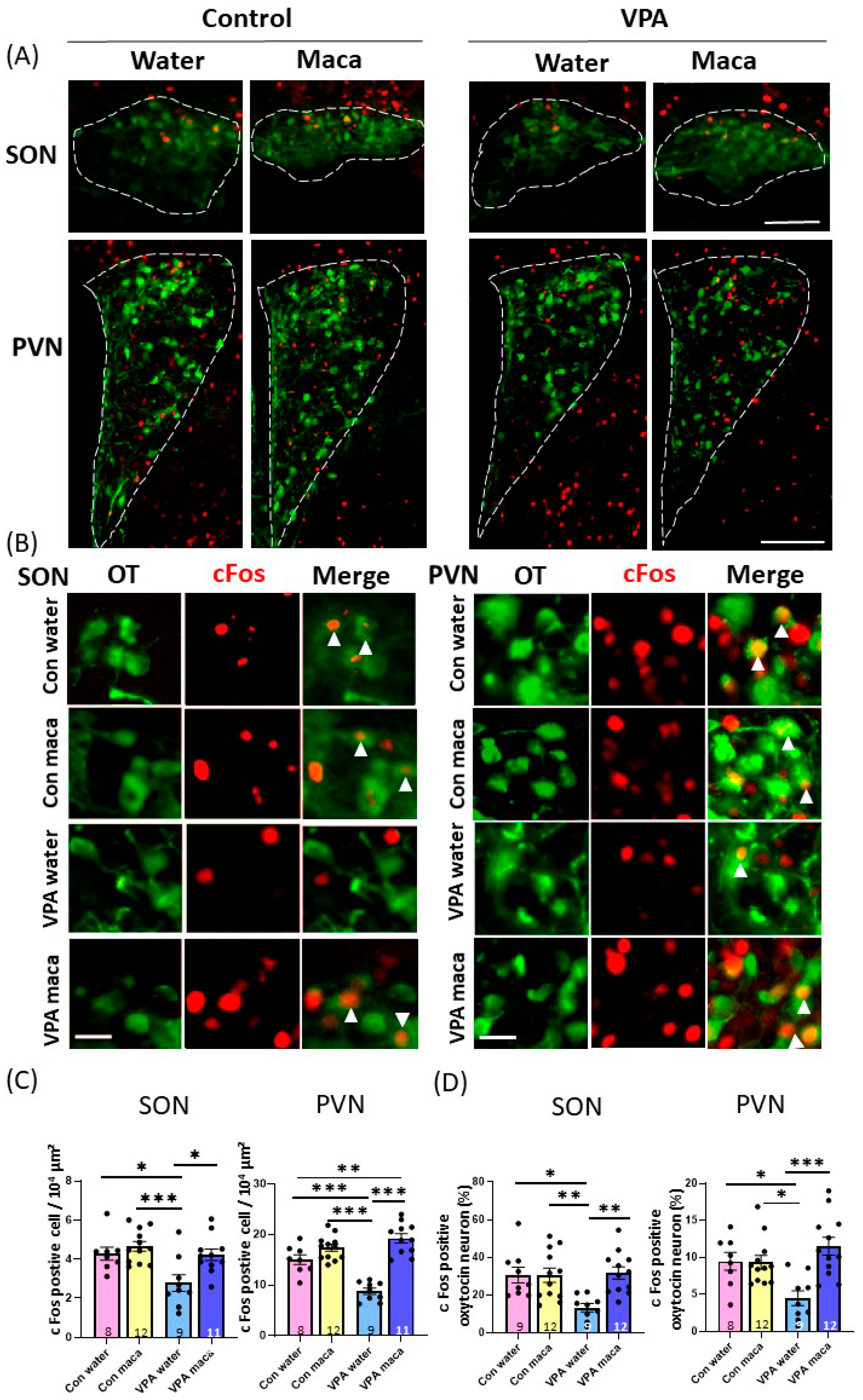 Brainsci 13 00316 g005