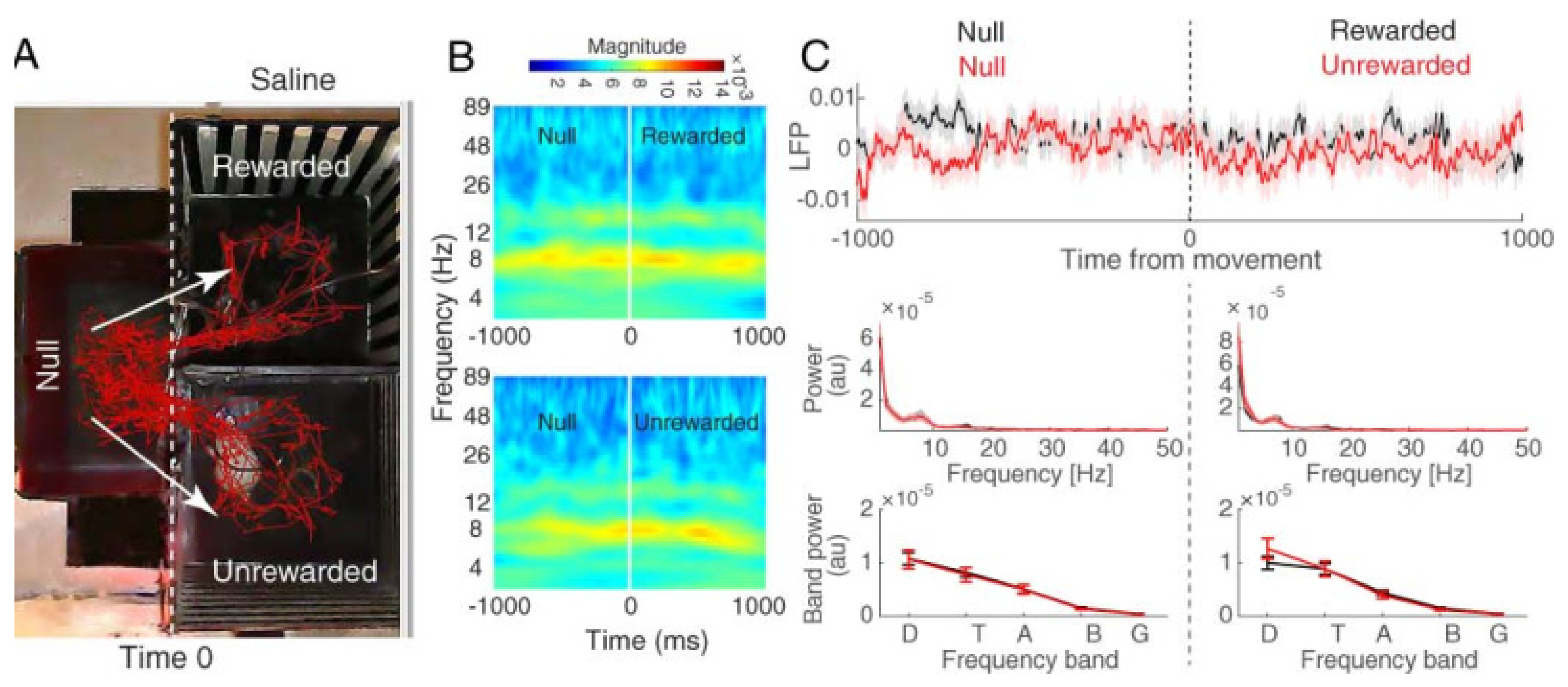 Brainsci 13 00322 g003 Brainsci 13 00322 g003