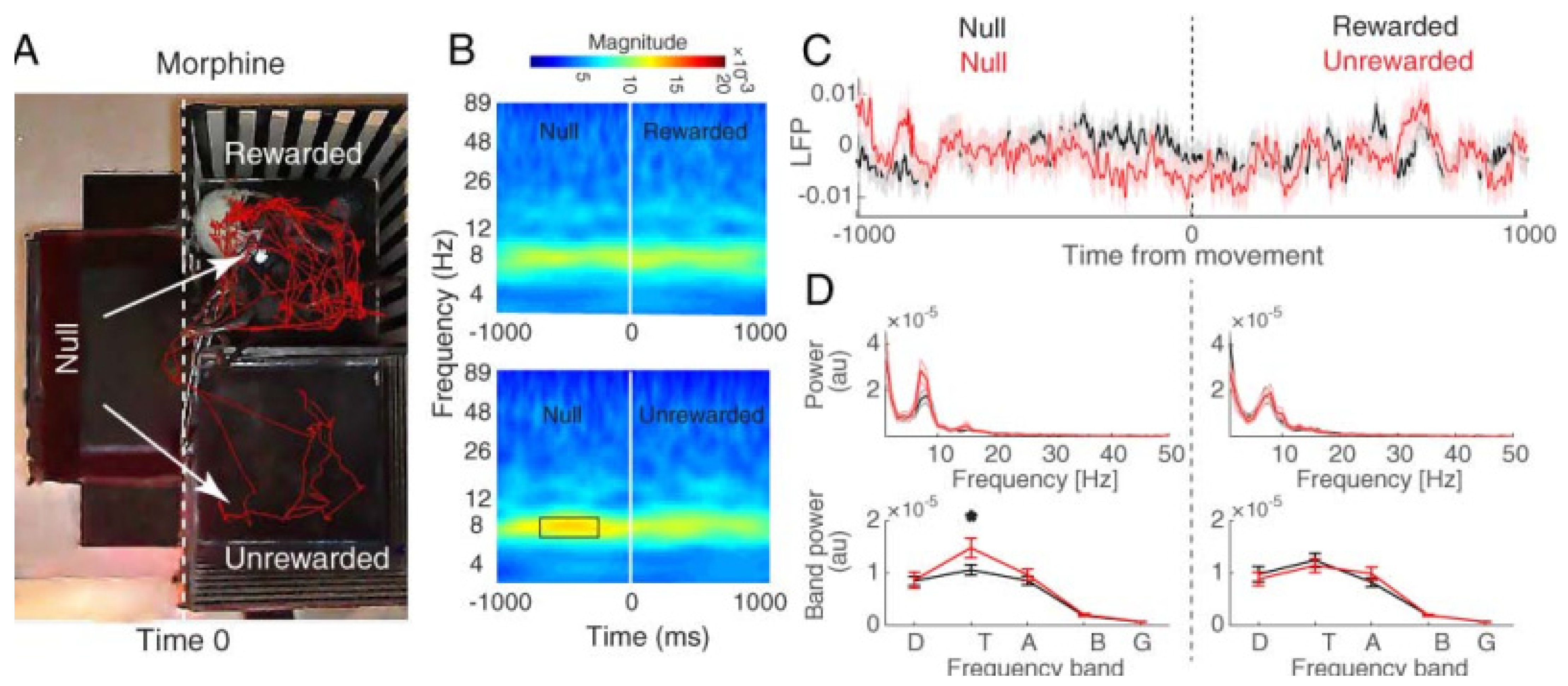Brainsci 13 00322 g004 Brainsci 13 00322 g004