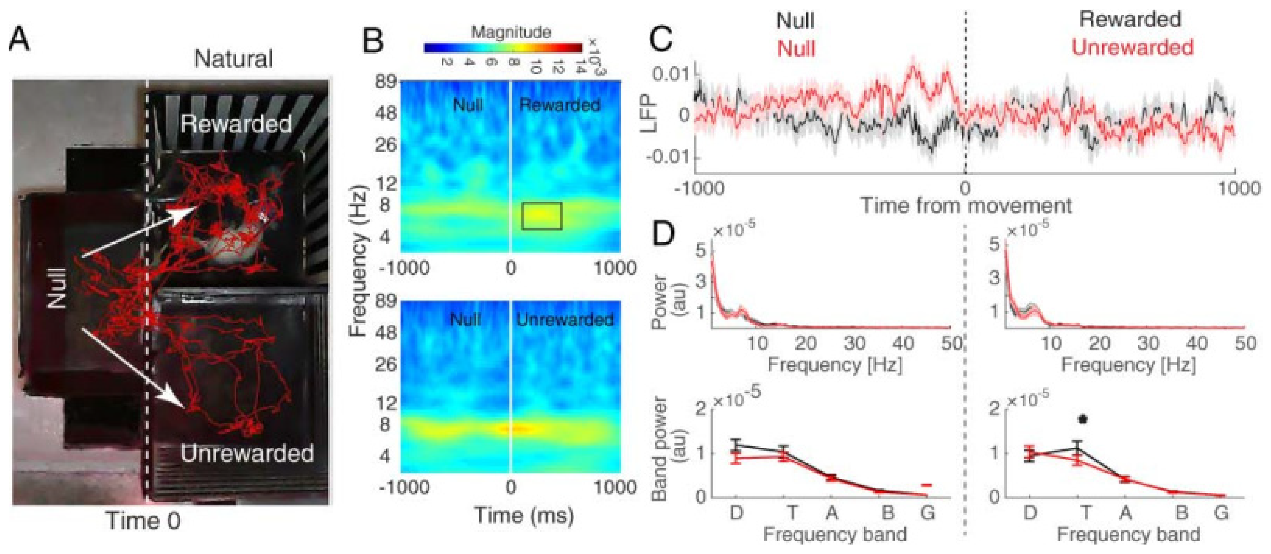 Brainsci 13 00322 g005 Brainsci 13 00322 g005