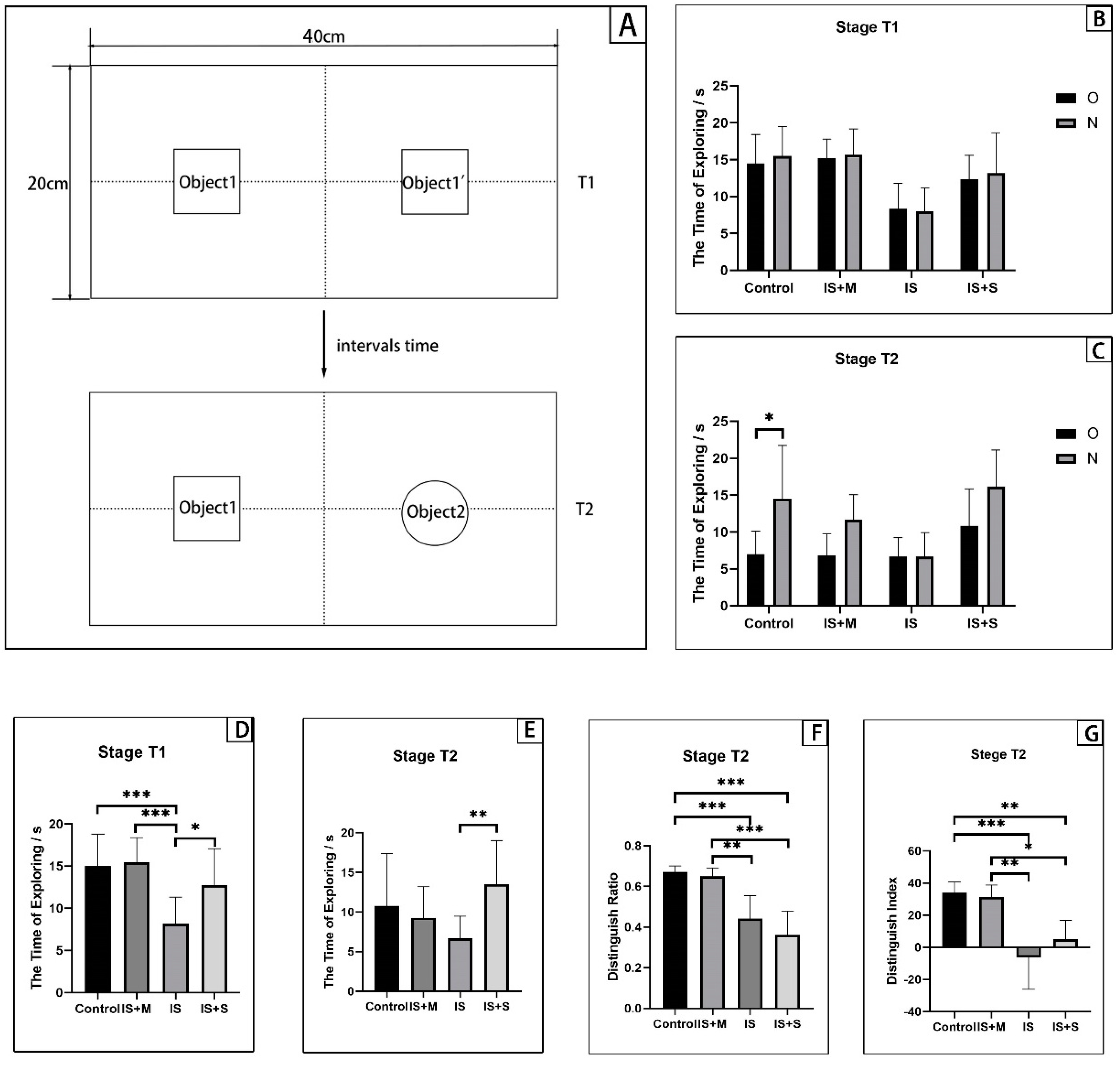 Brainsci 13 00331 g002