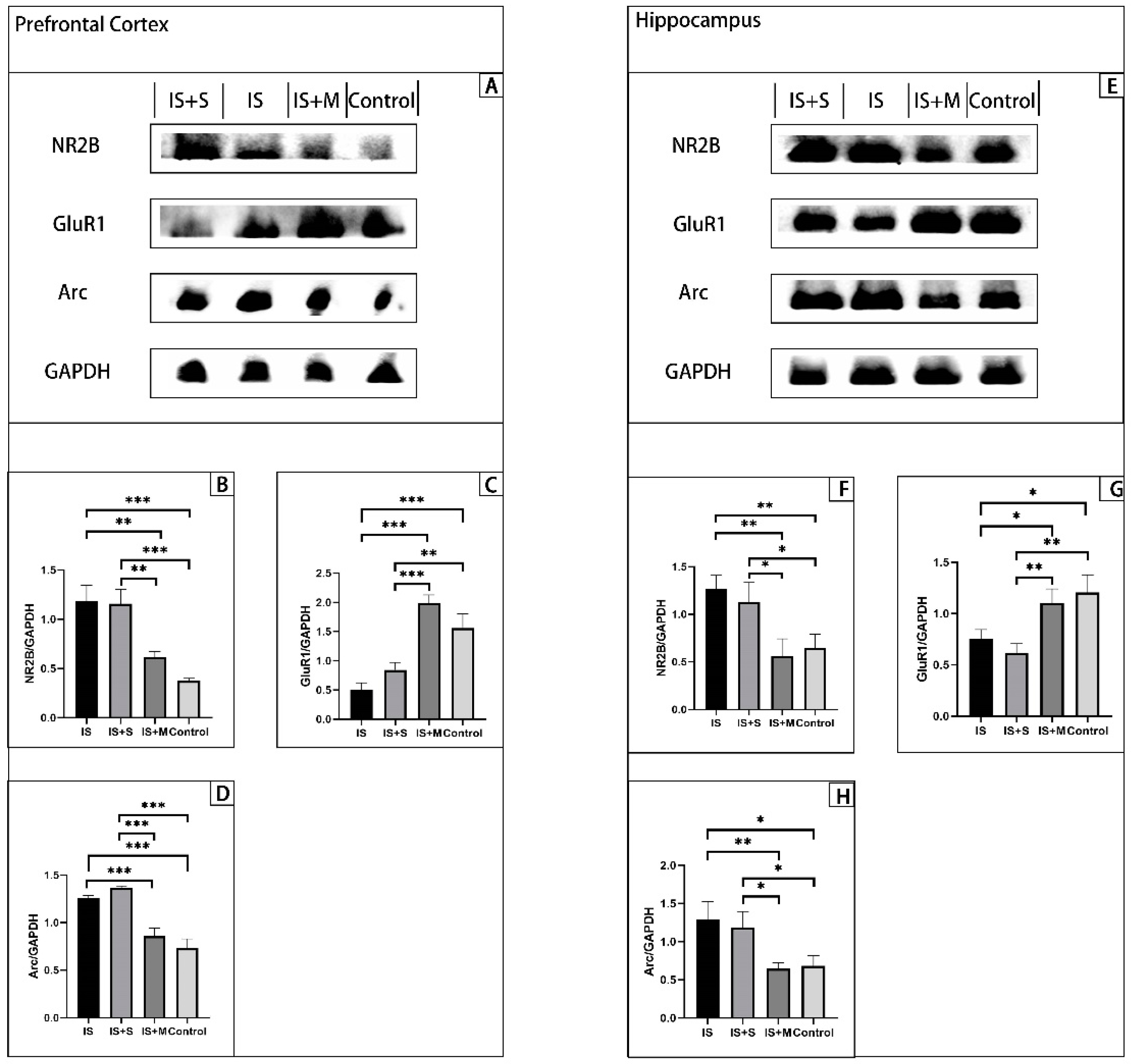 Brainsci 13 00331 g005