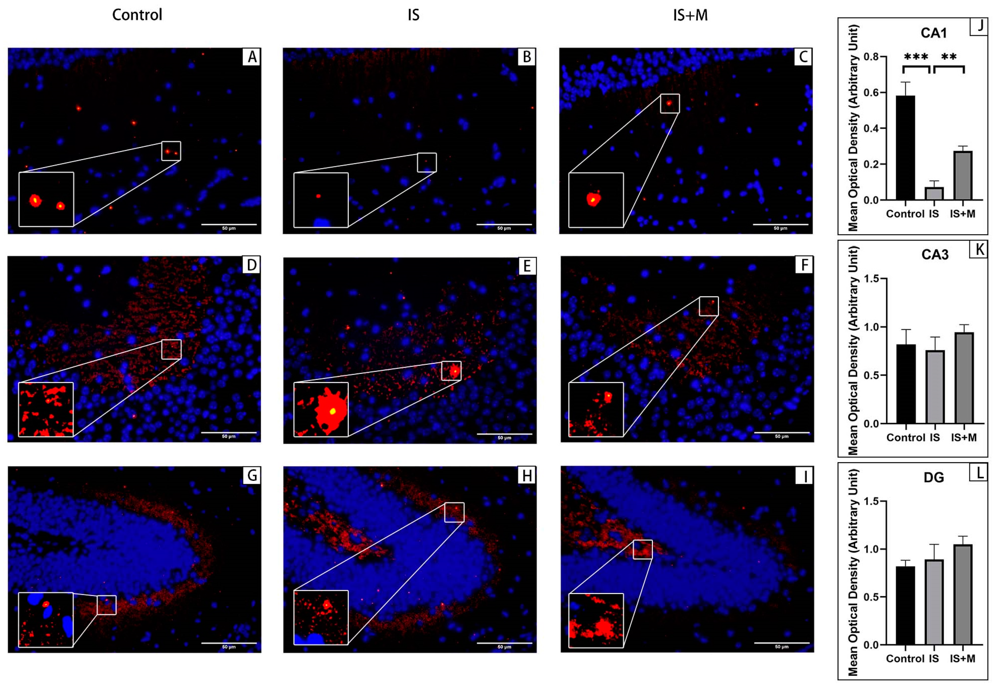 Brainsci 13 00331 g007